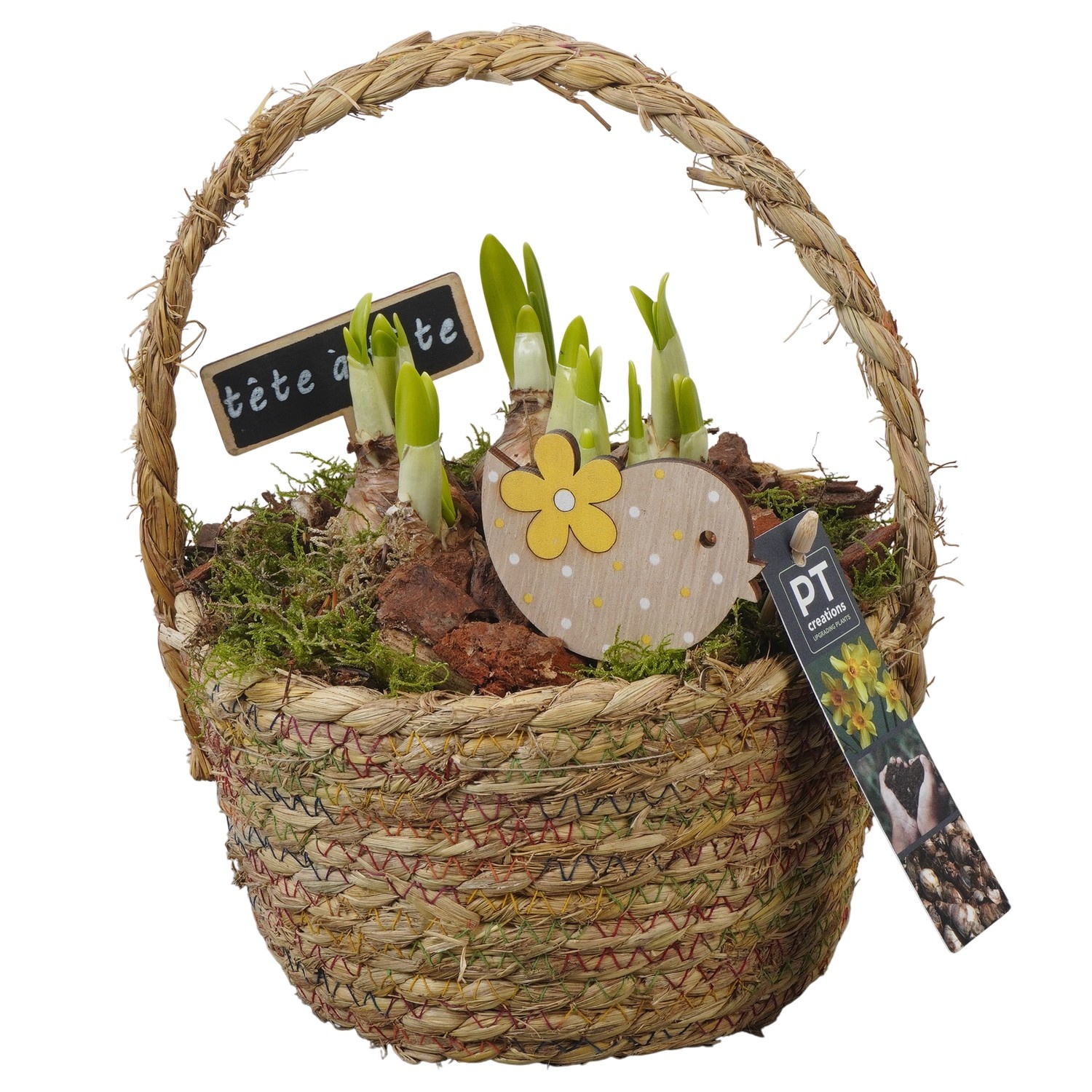 PTN8606 Arrangement Narcissus in rieten mand, D 18