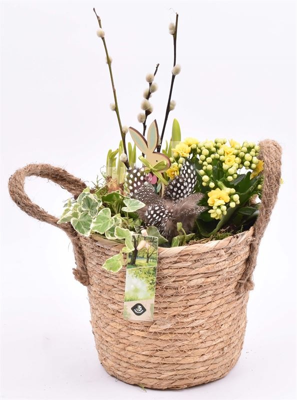 Touwmand met oren Dia 18, D 19