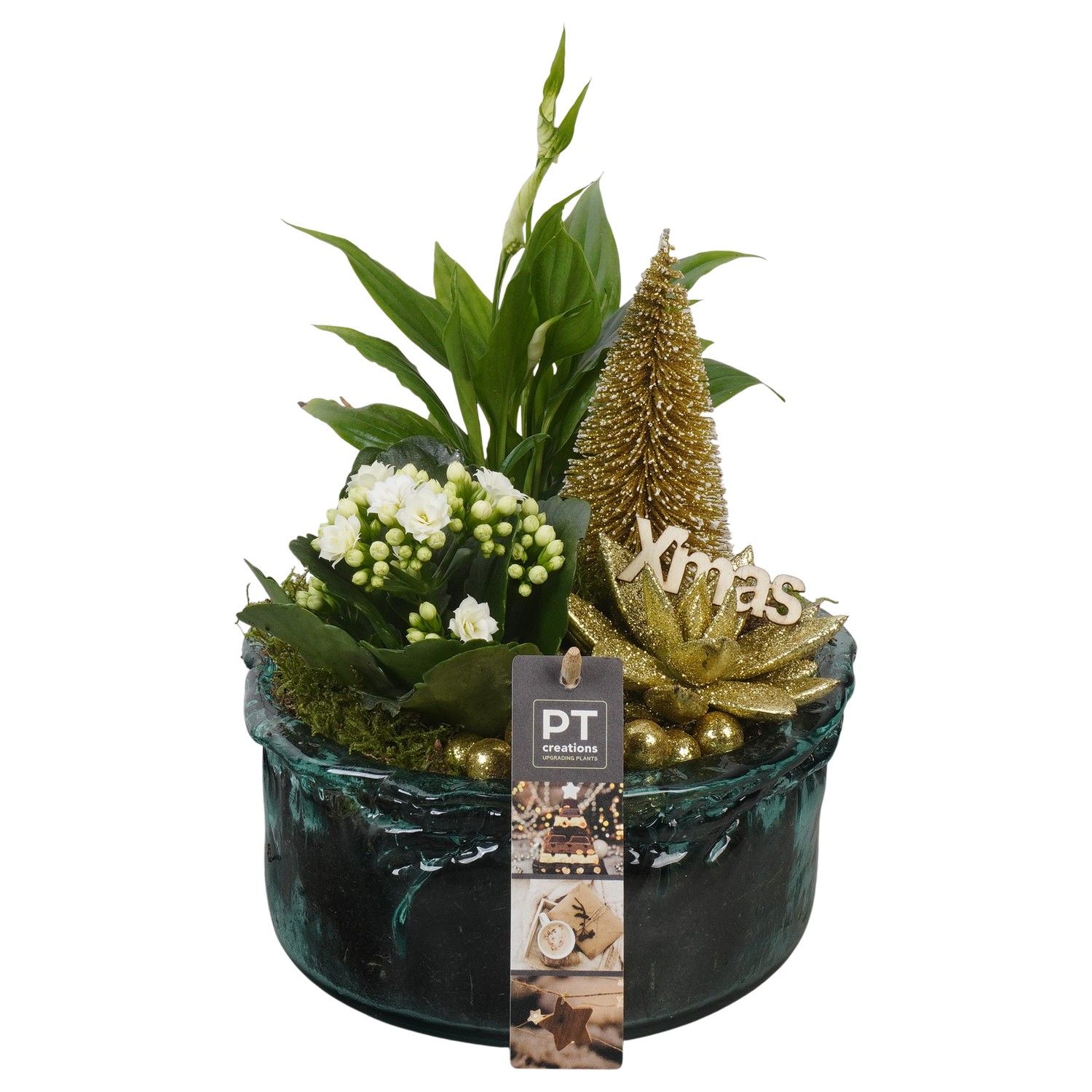 PTCHG5725 Arrangement Christmas Gold in glas schaal, D 18 cm