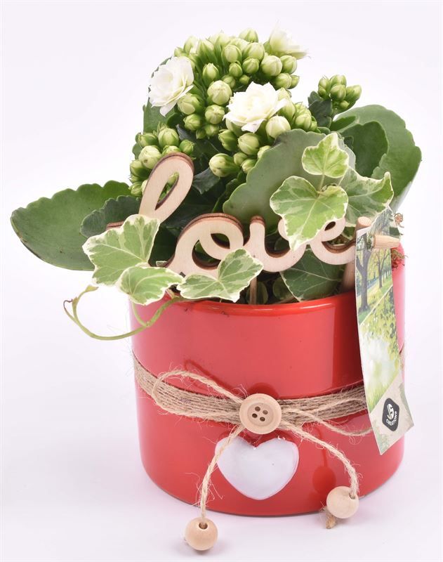Keramiek pot rood met hart 10cm, D 10