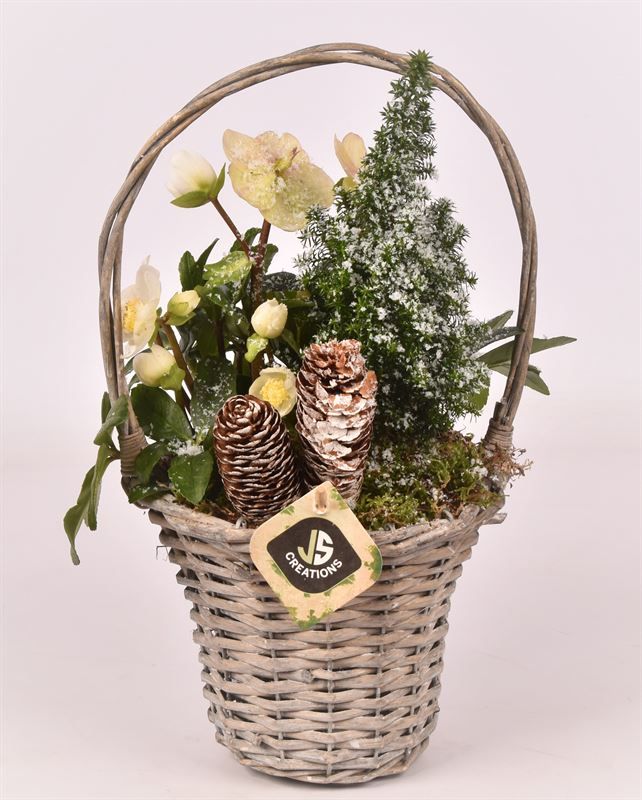 Wilg hengselmand gy 17cm, D 15 cm