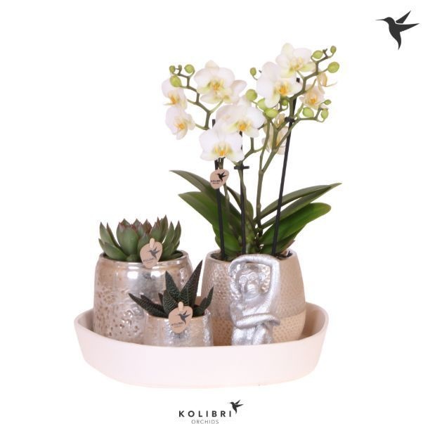 Kolibri Gift Set Hotel Chic silver, D 30