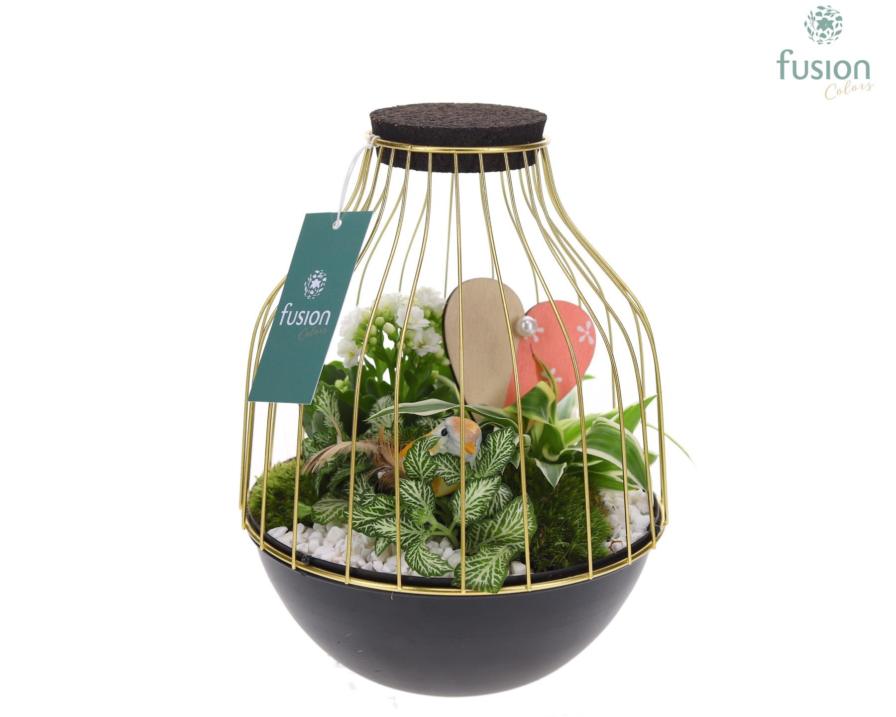 Vogelkooi metaal goudzwart Medium Love met arrangement, D 19