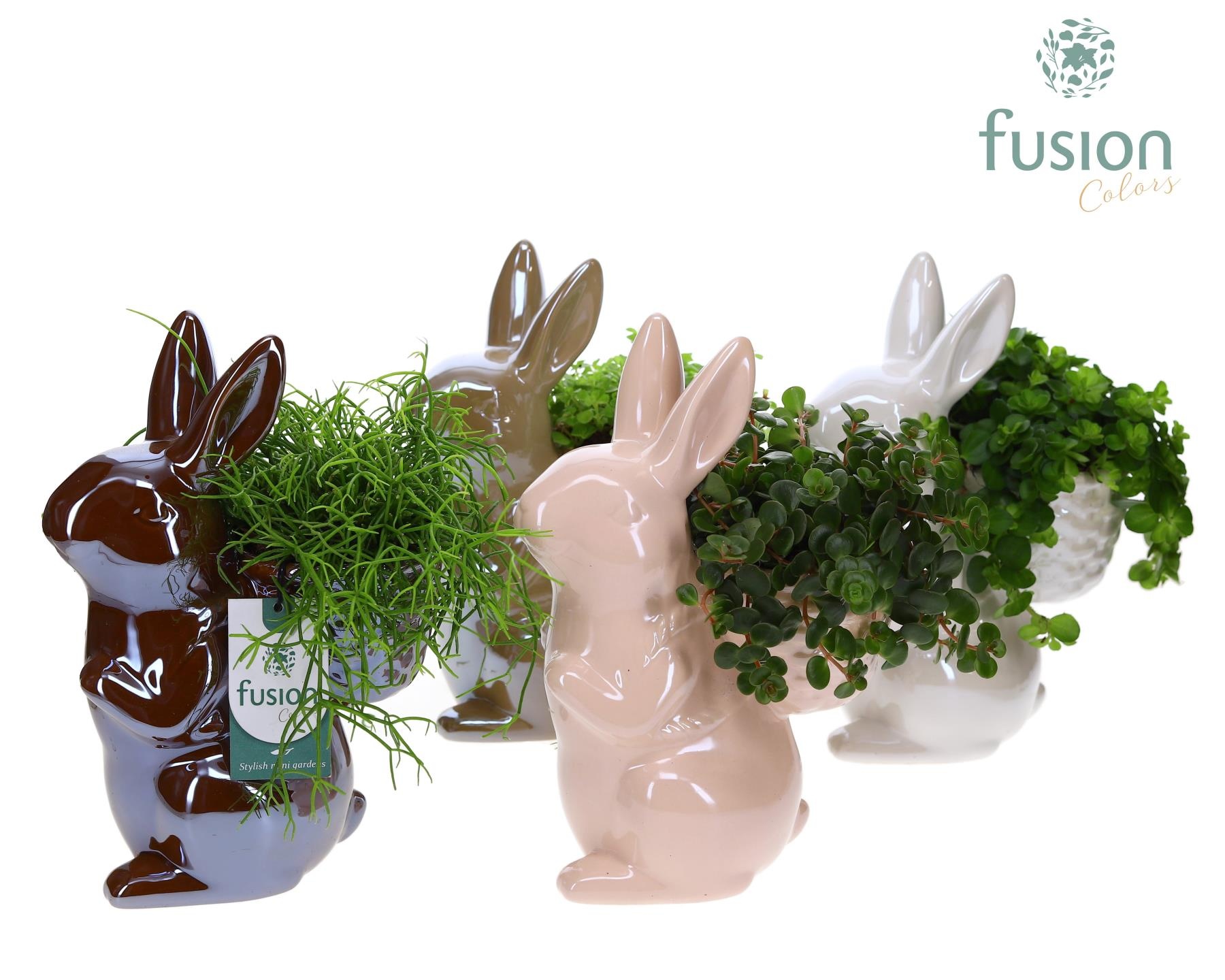 Haas keramiek Medium 3 glanzende kleuren met arrangement, D 19