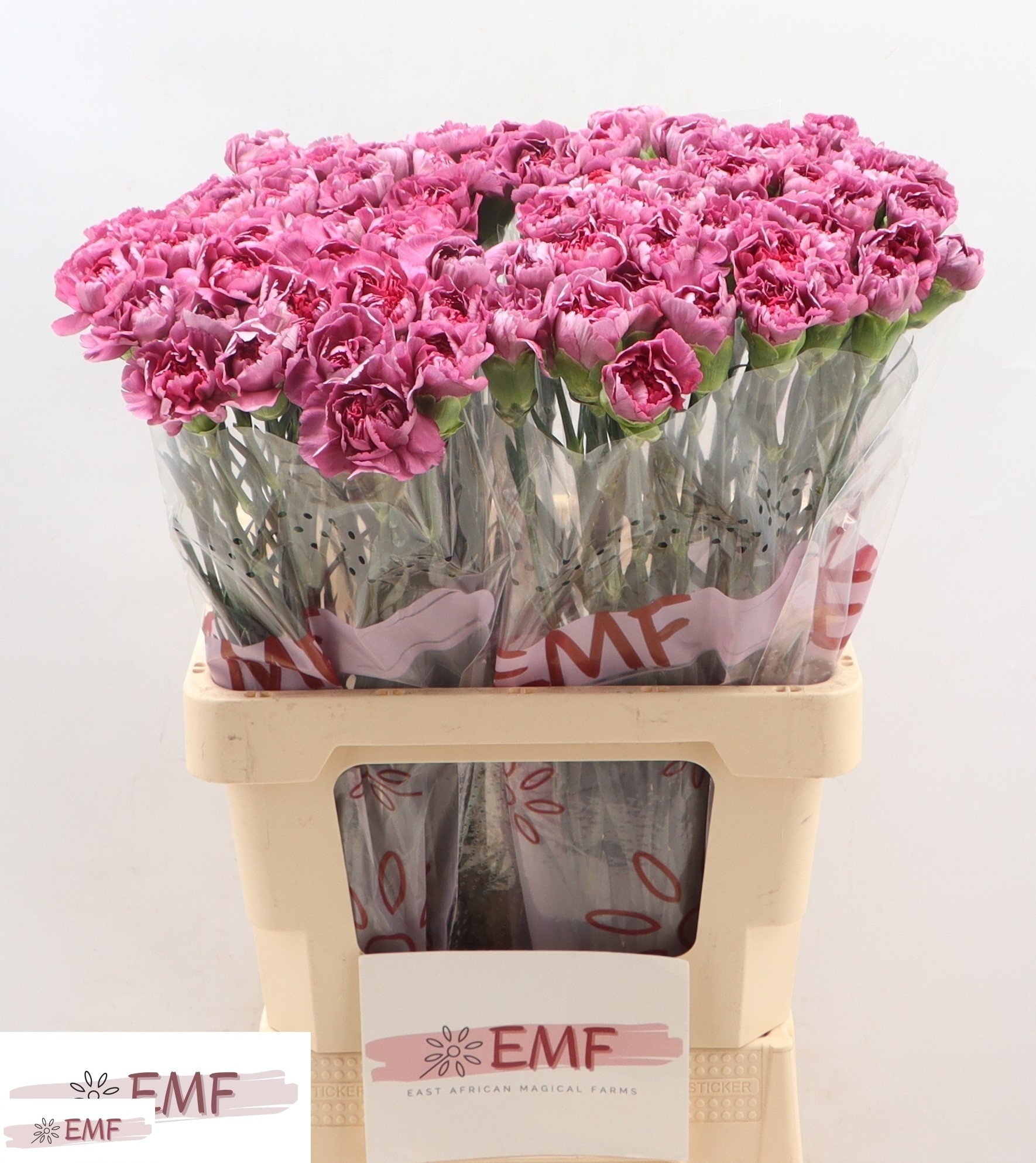 Диантус од. Гипноз (фиолет.), шт.