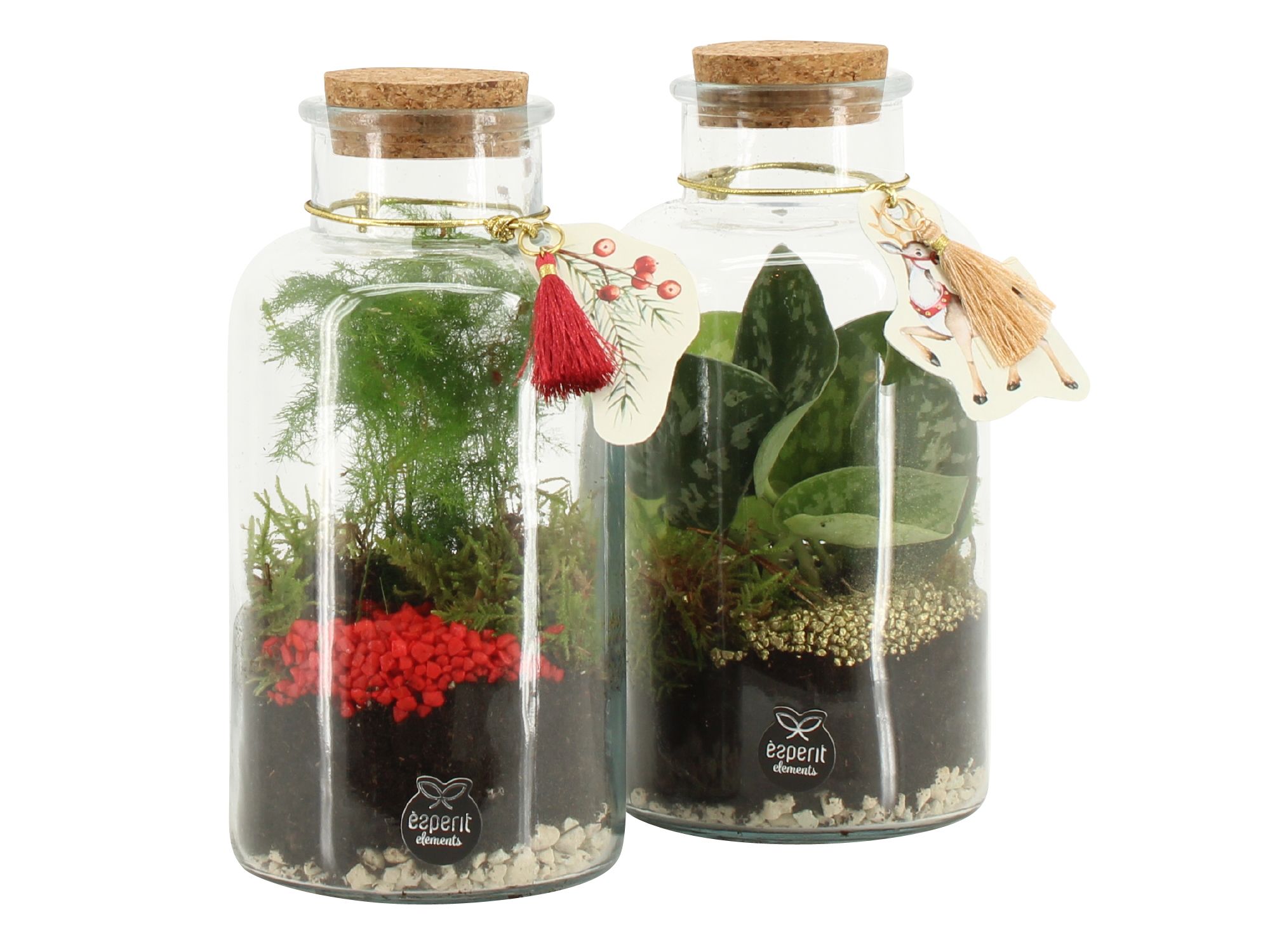 61834: X-mas terrarium, D 10