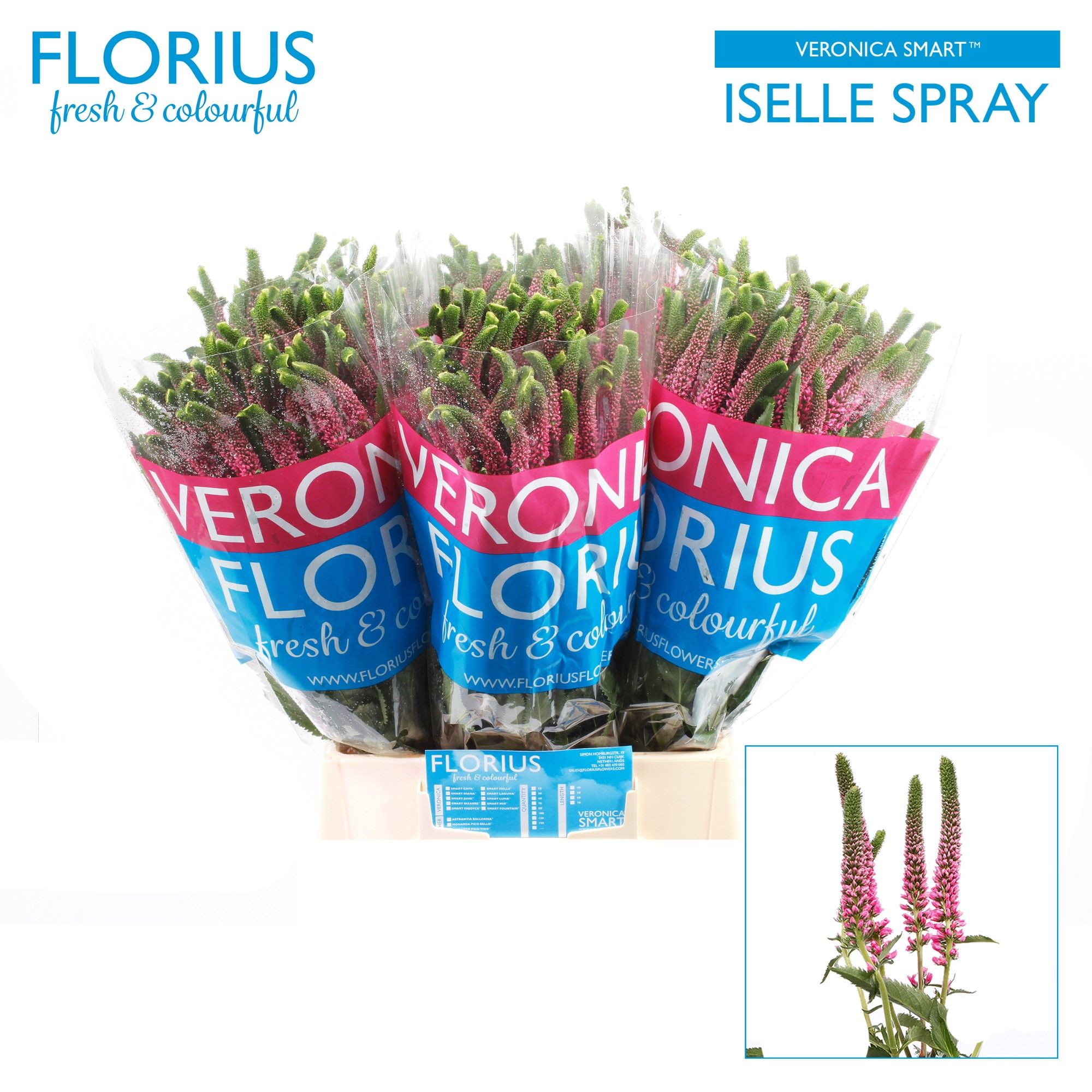 Вероника Смарт Изель 50, шт.