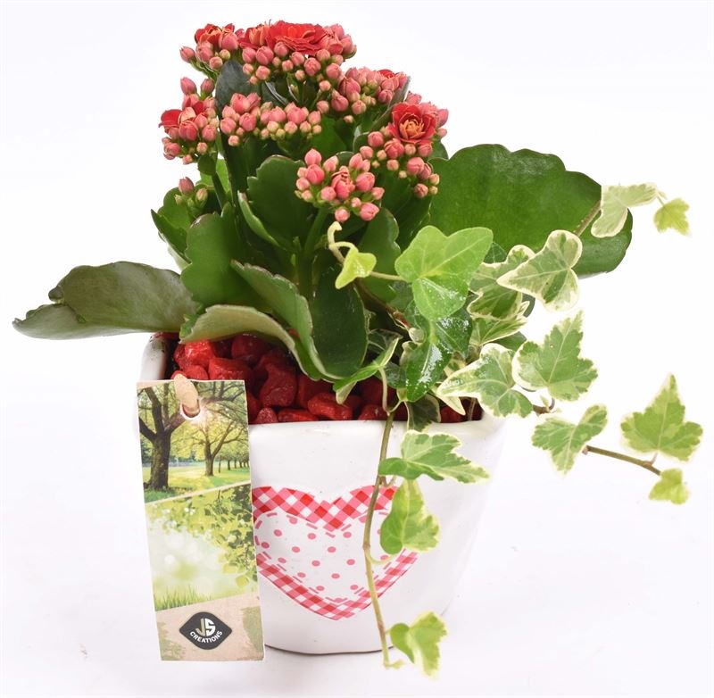 Keramiek met hart 10x10, D 11