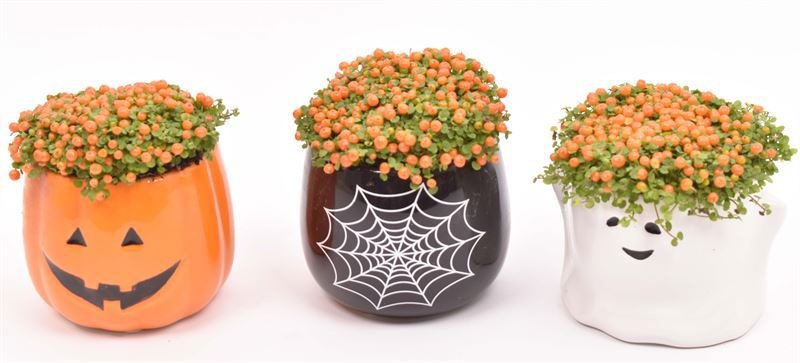 Keramiek "Halloween" 7cm, D 7