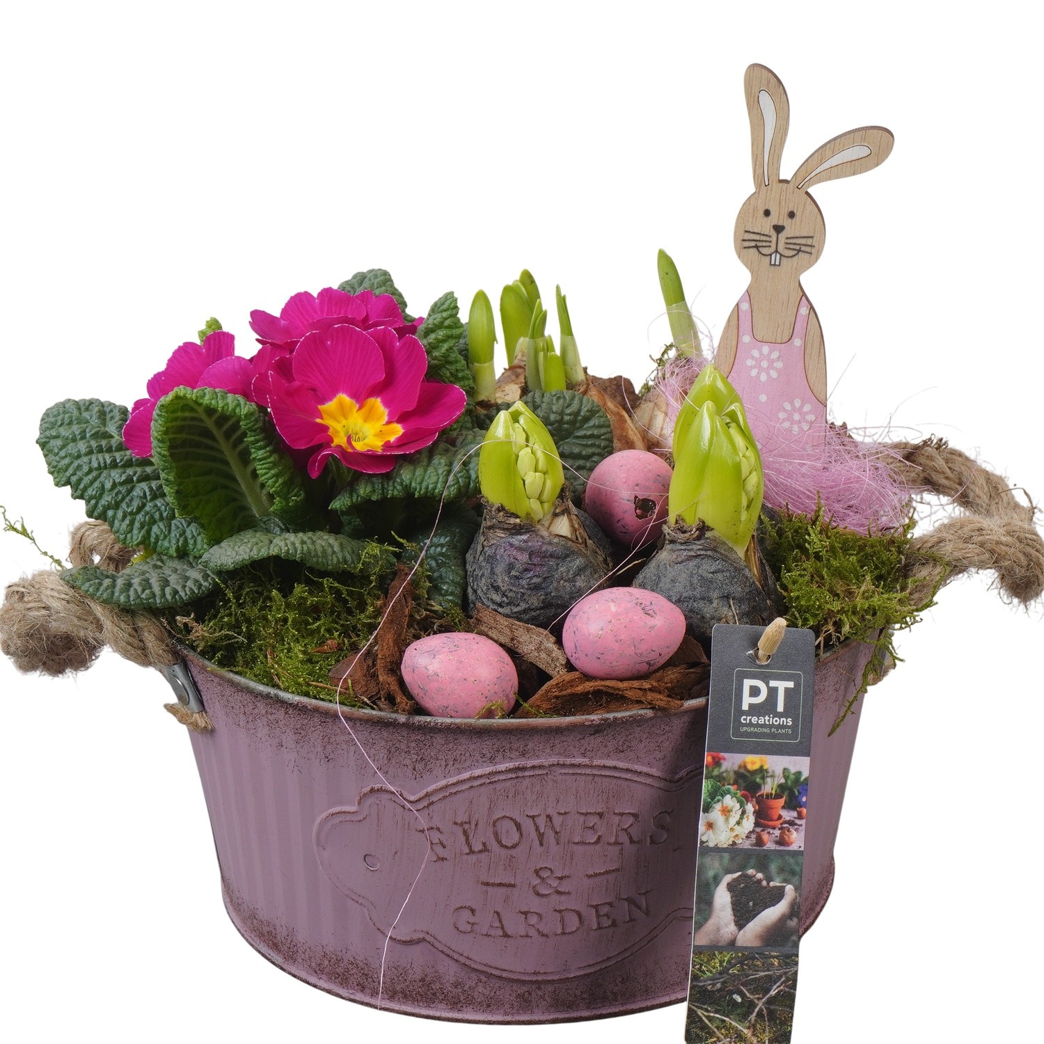 PTBMP5658 Arrangement Easter Bulbs Mix in zink pot, D 22