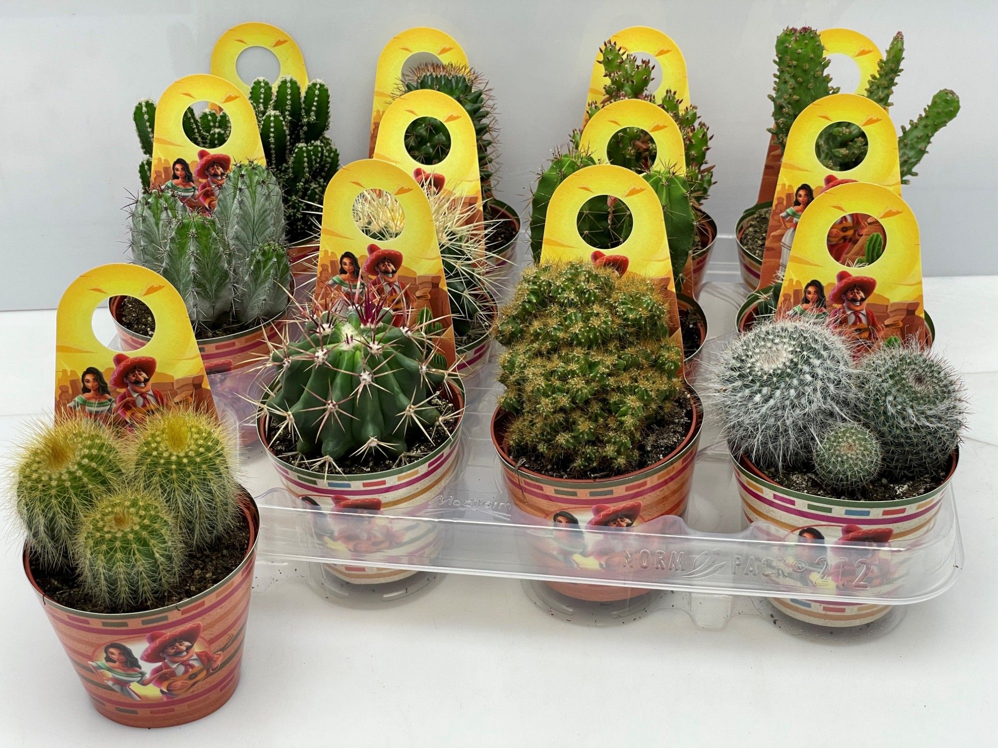 253 mexico carry cover cactus 8,5 cm, D 8,5