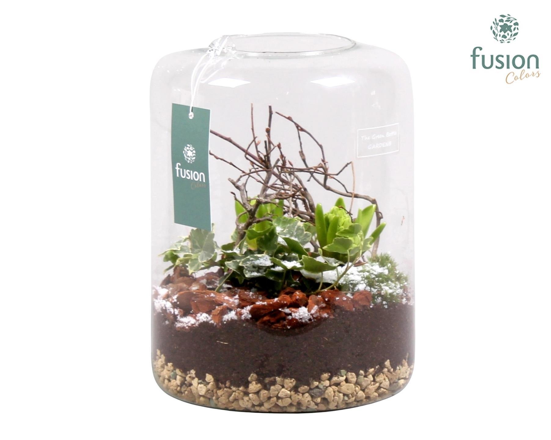 Green Bottle Isabella Large met Groene Planten, D 19