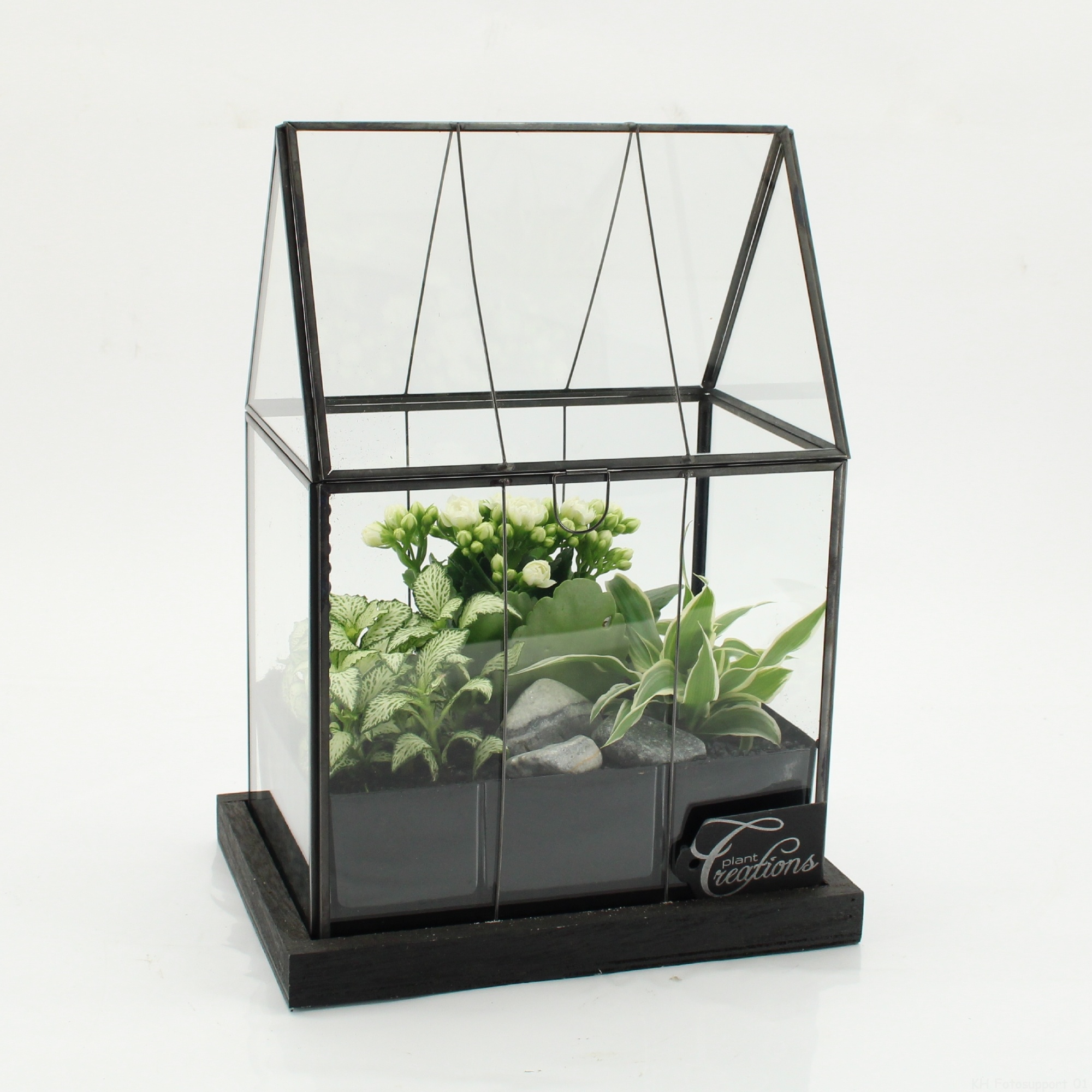 ESCR-2629W Essentials terrarium, D 23