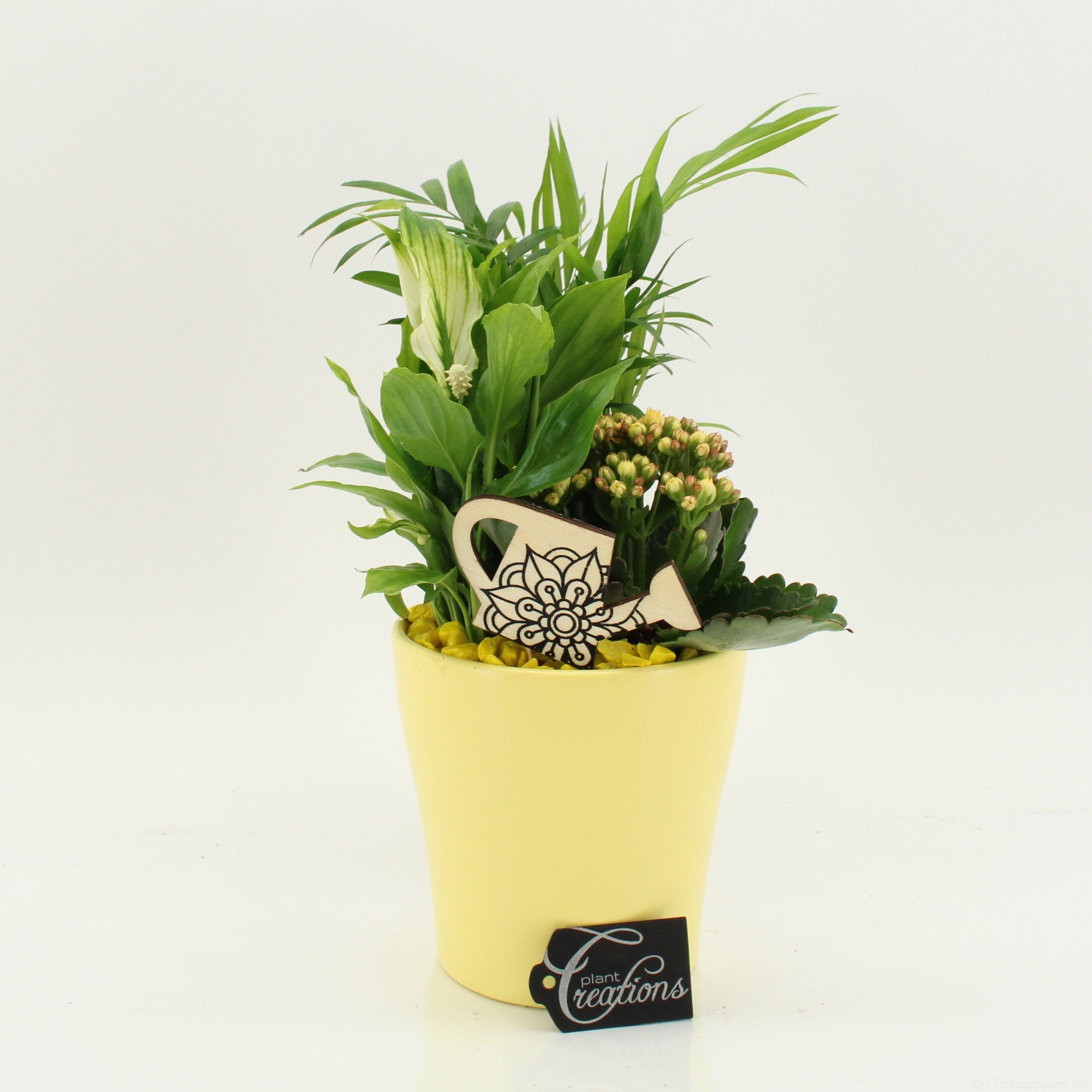 FDCR-2608G Basic Fundamentals, D 14