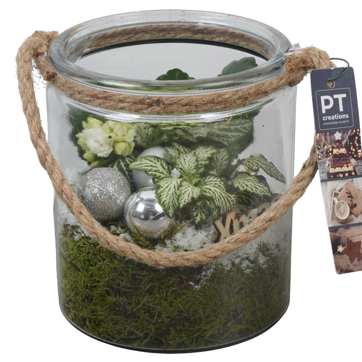 PTCHW4378 Arrangement Christmas White in glazen pot, D 14 cm