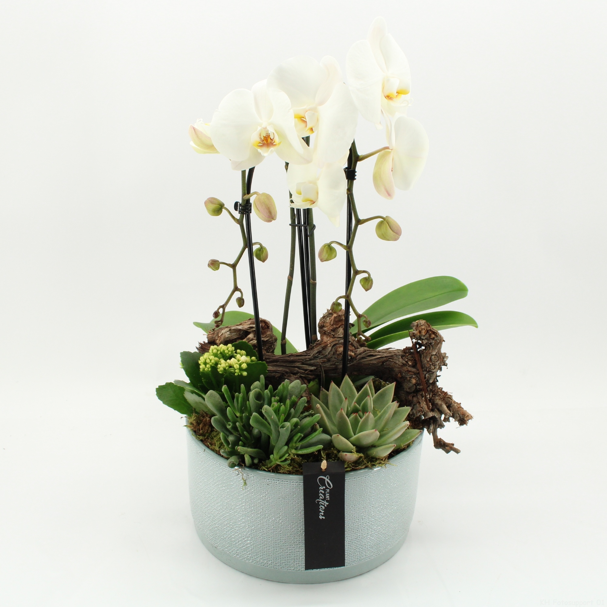 PROMO-2606 Blue Monday, D 26