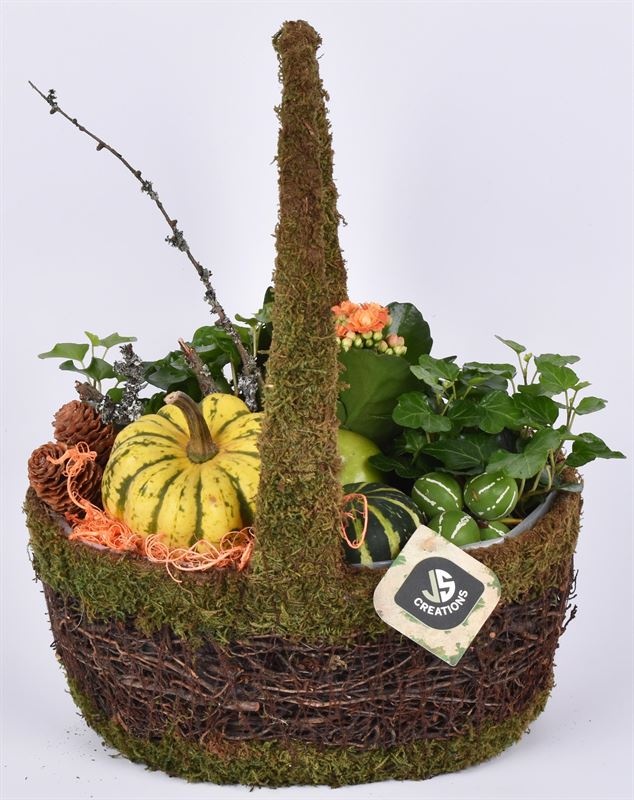 Mos mand ovaal hengsel 20.5x13.5cm, D 21 cm