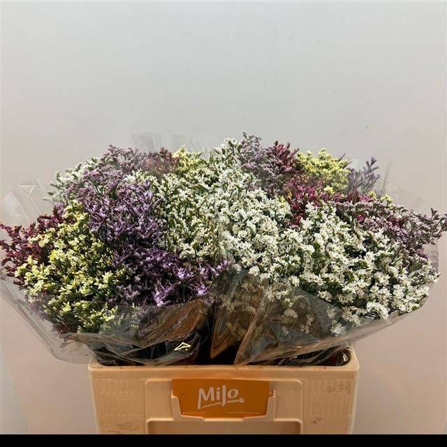 Лимониум Даймонд Микс 60, шт.