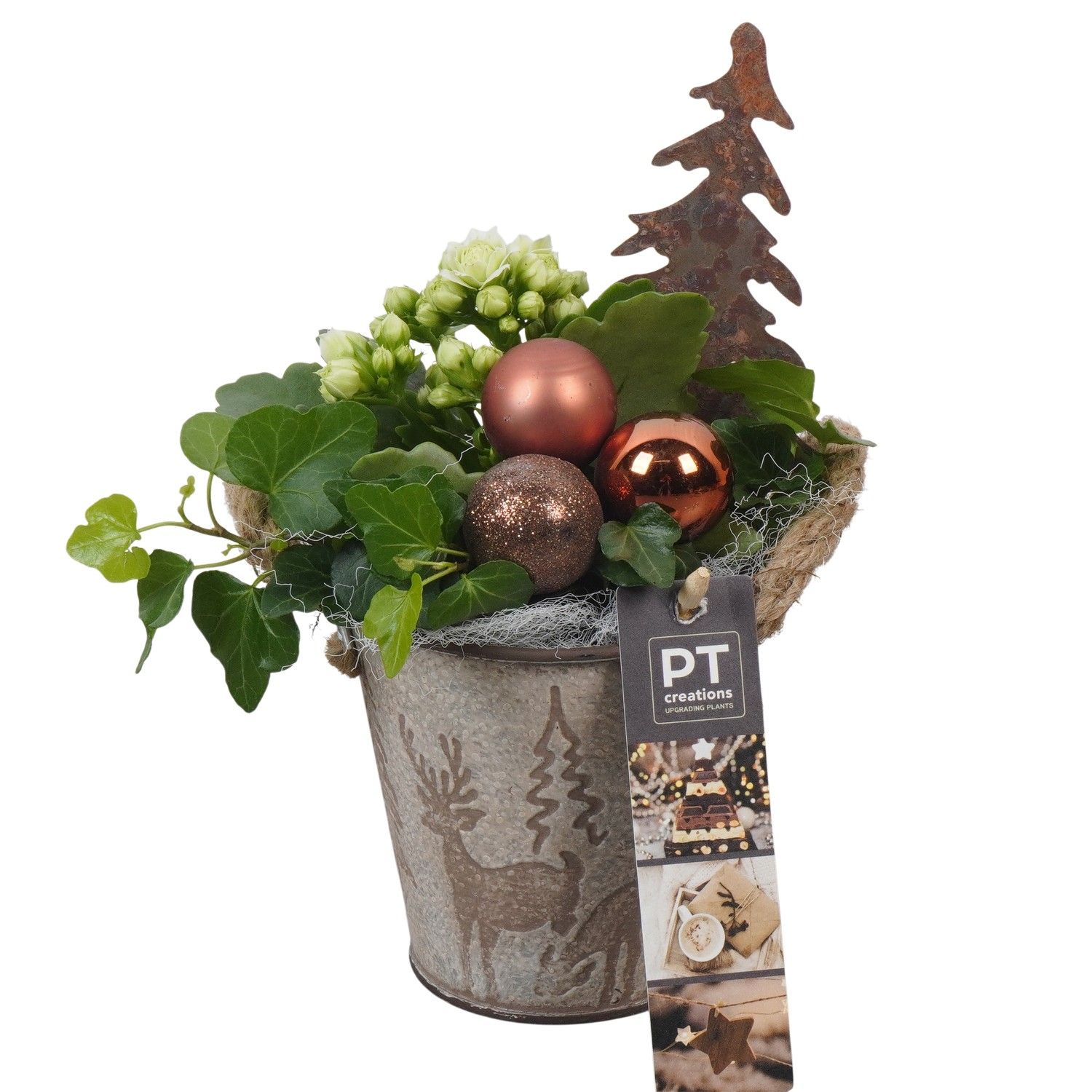 PTCHB9781 Arrangement Christmas Bronze in metalen pot, D 10 cm