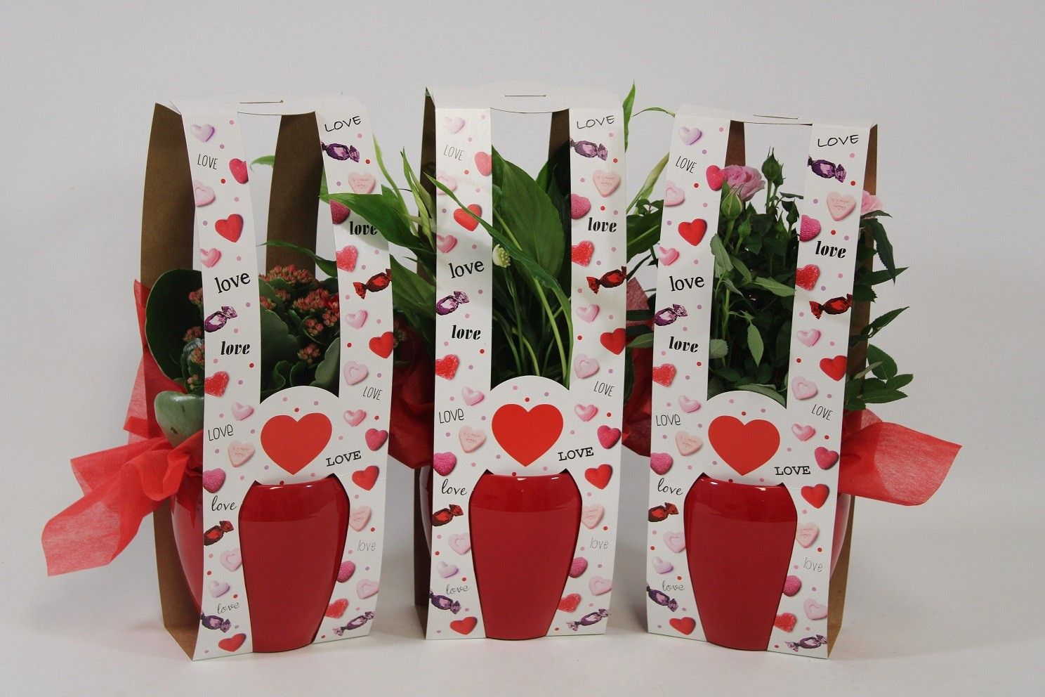 Bloeimix in Paris met draagtas en doek, mix in overleg (ook in monocultuur) Valentijn, Moederdag en Vrouwendag, D 12