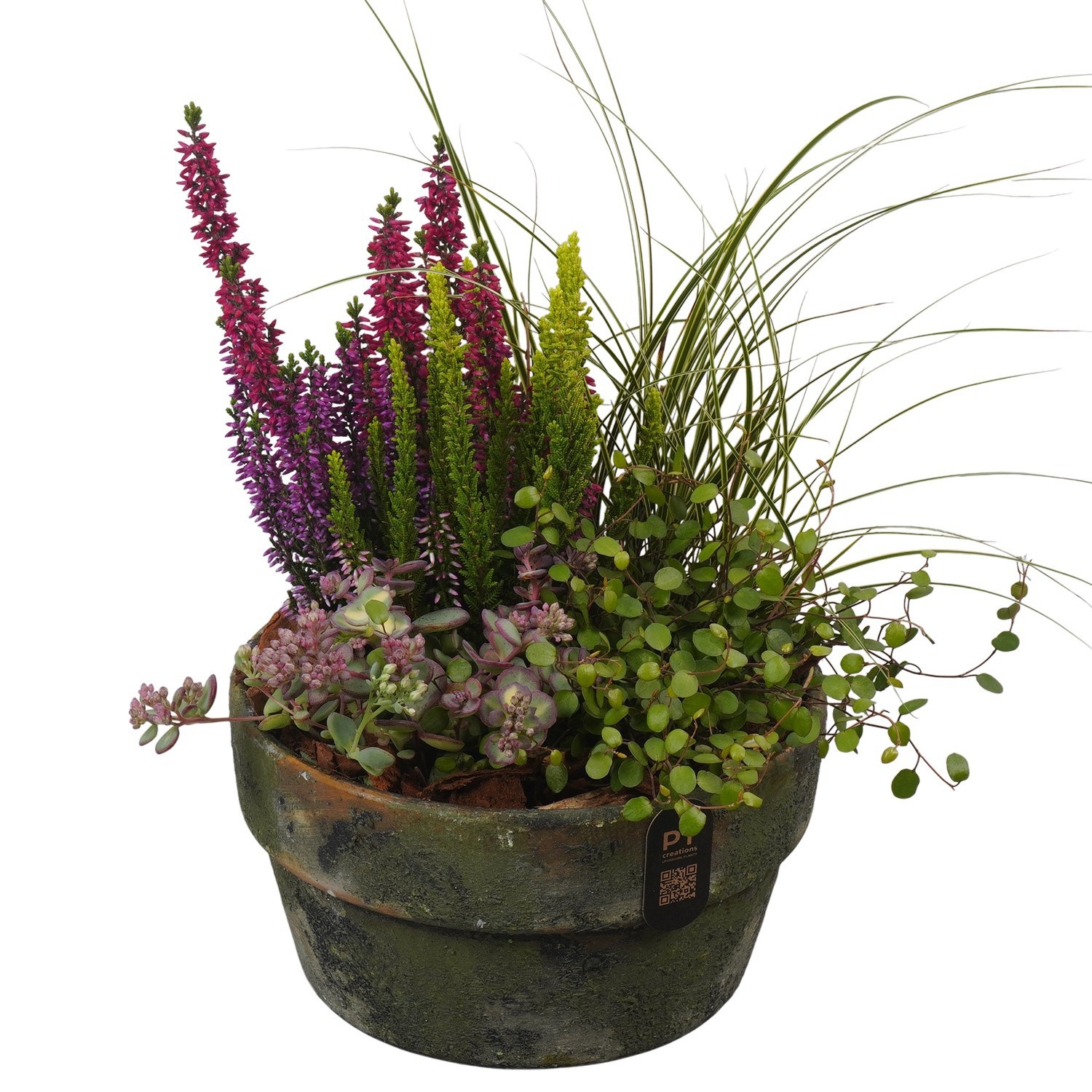 PTHO7711 Arrangement Autumn Outdoor in terracotta schaal, D 21