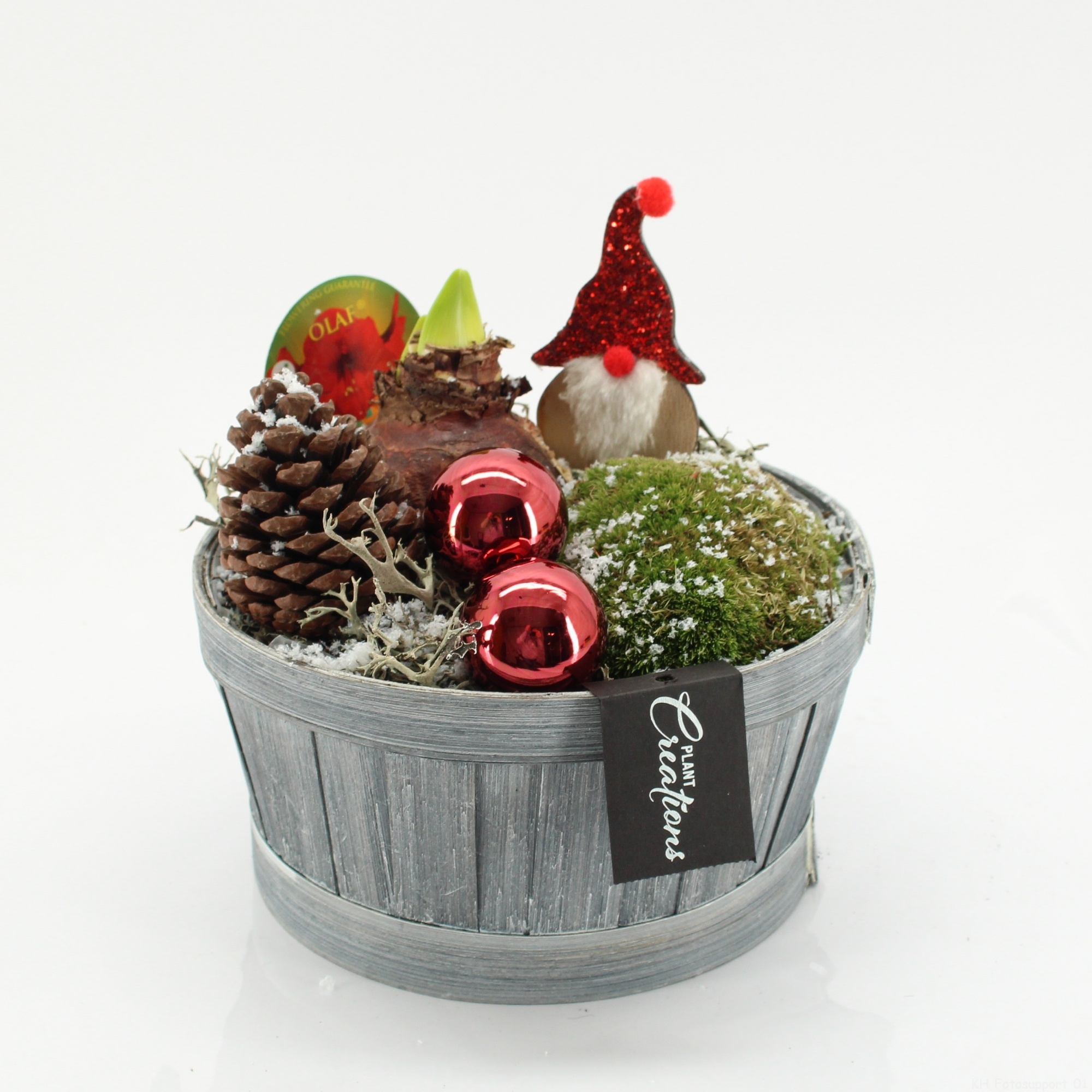 HICR-2532R Kerst Amaryllis, D 19 cm