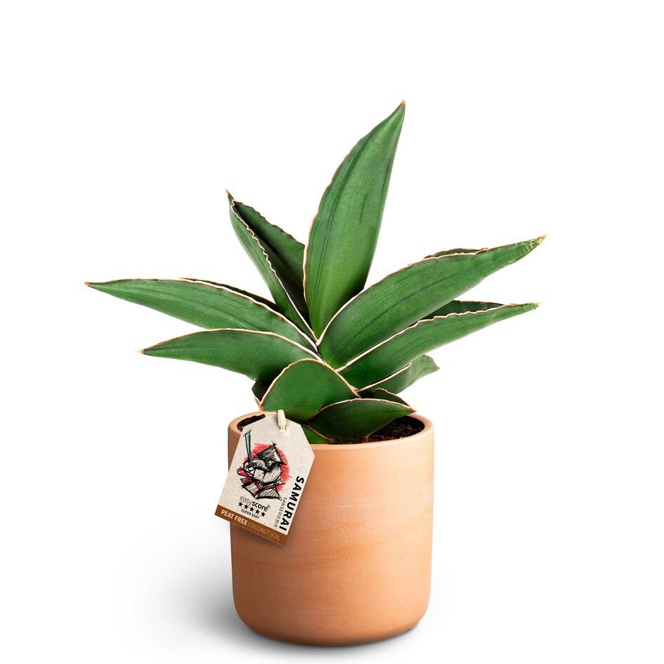 Raw Terracotta Samurai 11 cm, D 12