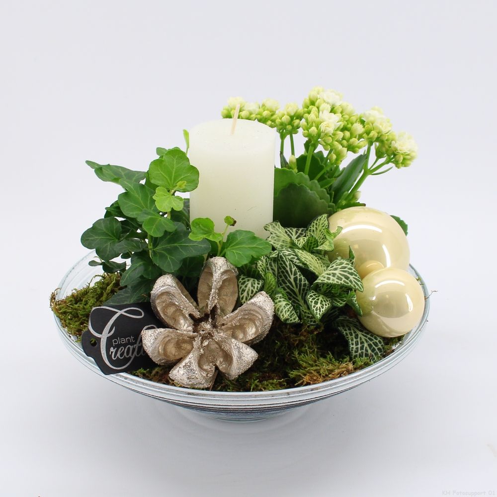 ADV-2514W Advent creatie, D 25 cm