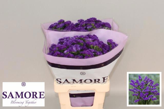 Статица Нэви Сан Бердс 60, шт.