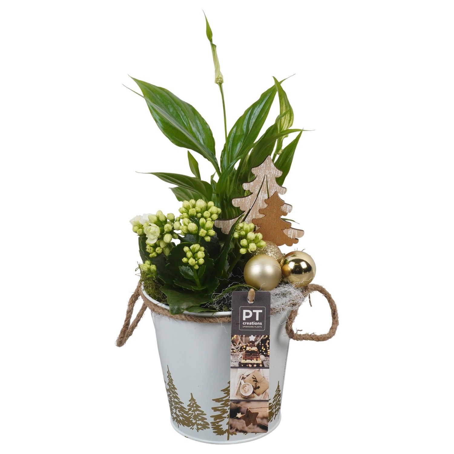 PTCHG5662 Arrangement Christmas Gold in metaal pot, D 13 cm