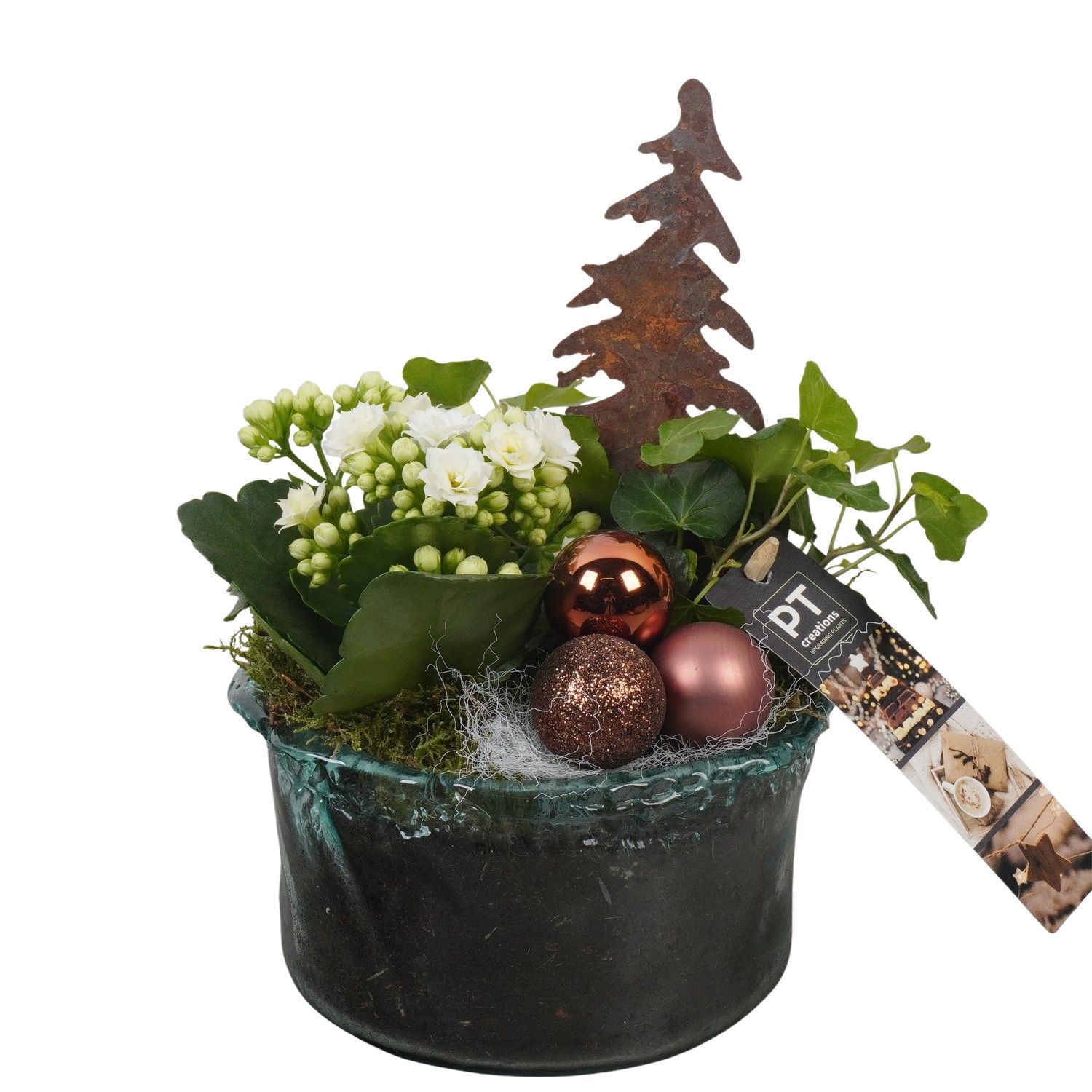 PTCHB9846 Arrangement Christmas Bronze in glas schaal, D 15 cm