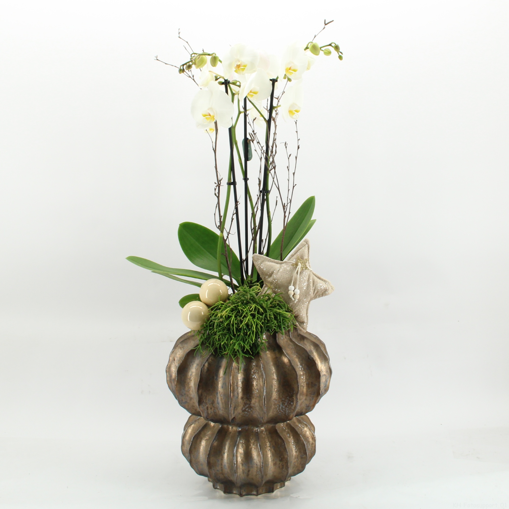 LICR-2528 Limited Phalaenopsis Xmas, D 33 cm LICR-2528 Limited Phalaenopsis Xmas, D 33 cm