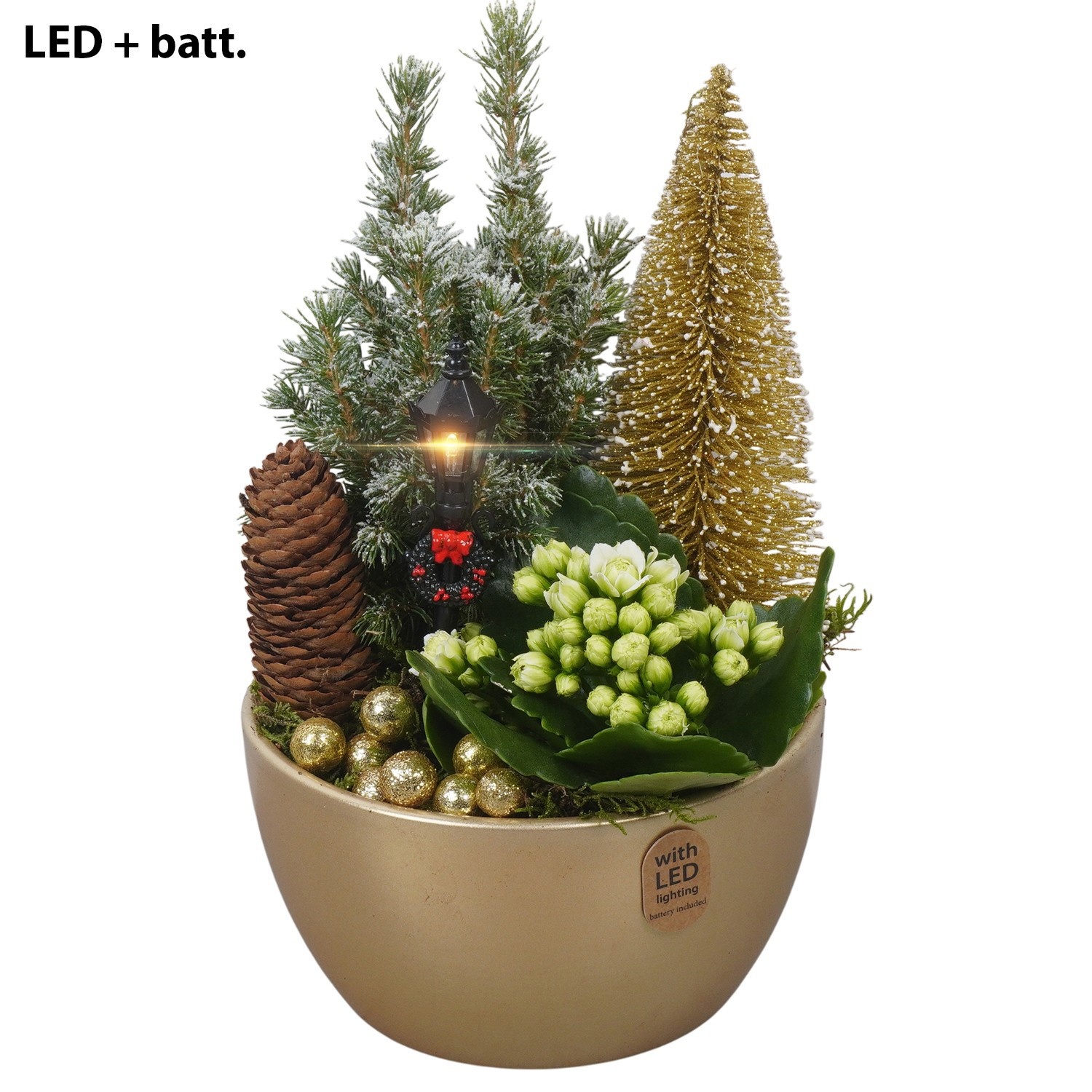 PTCHG4676 Arrangement Christmas Gold in keramiek schaal met LED, D 16