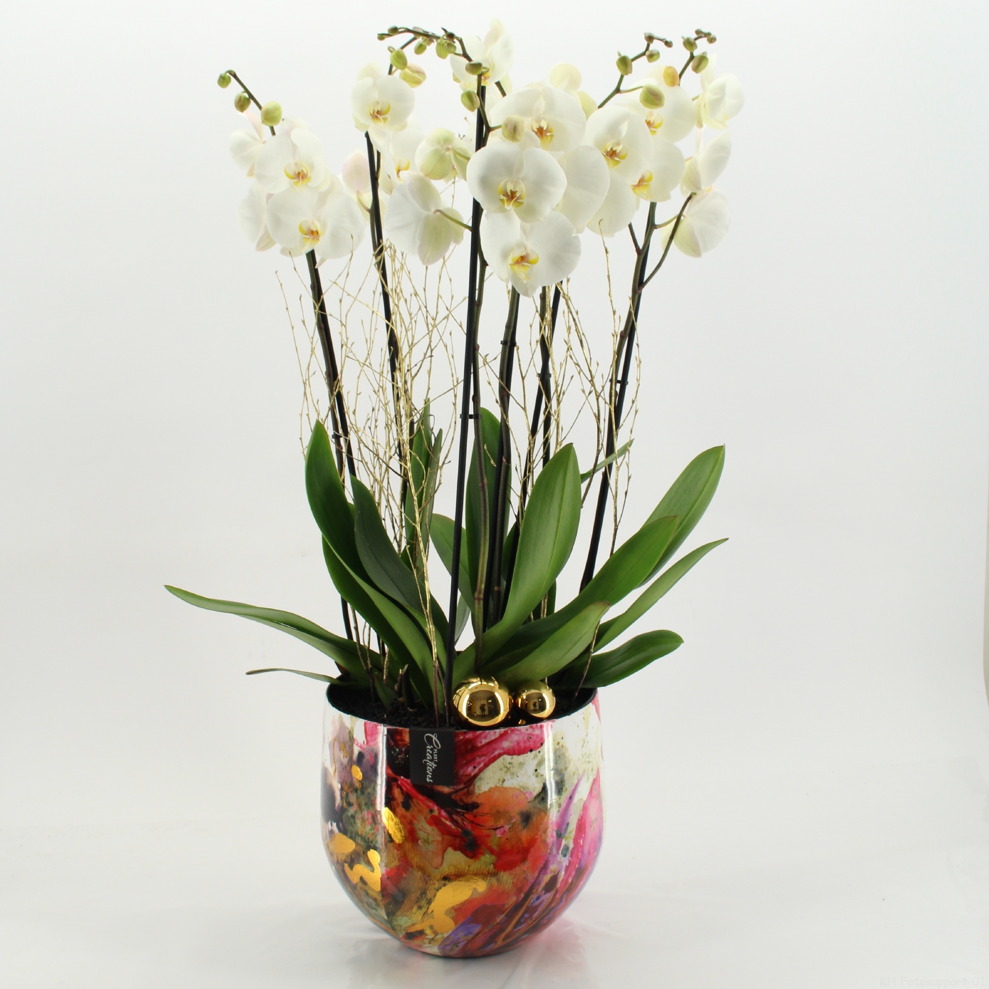 LICR-2526 Limited Phalaenopsis Xmas, D 28 cm LICR-2526 Limited Phalaenopsis Xmas, D 28 cm