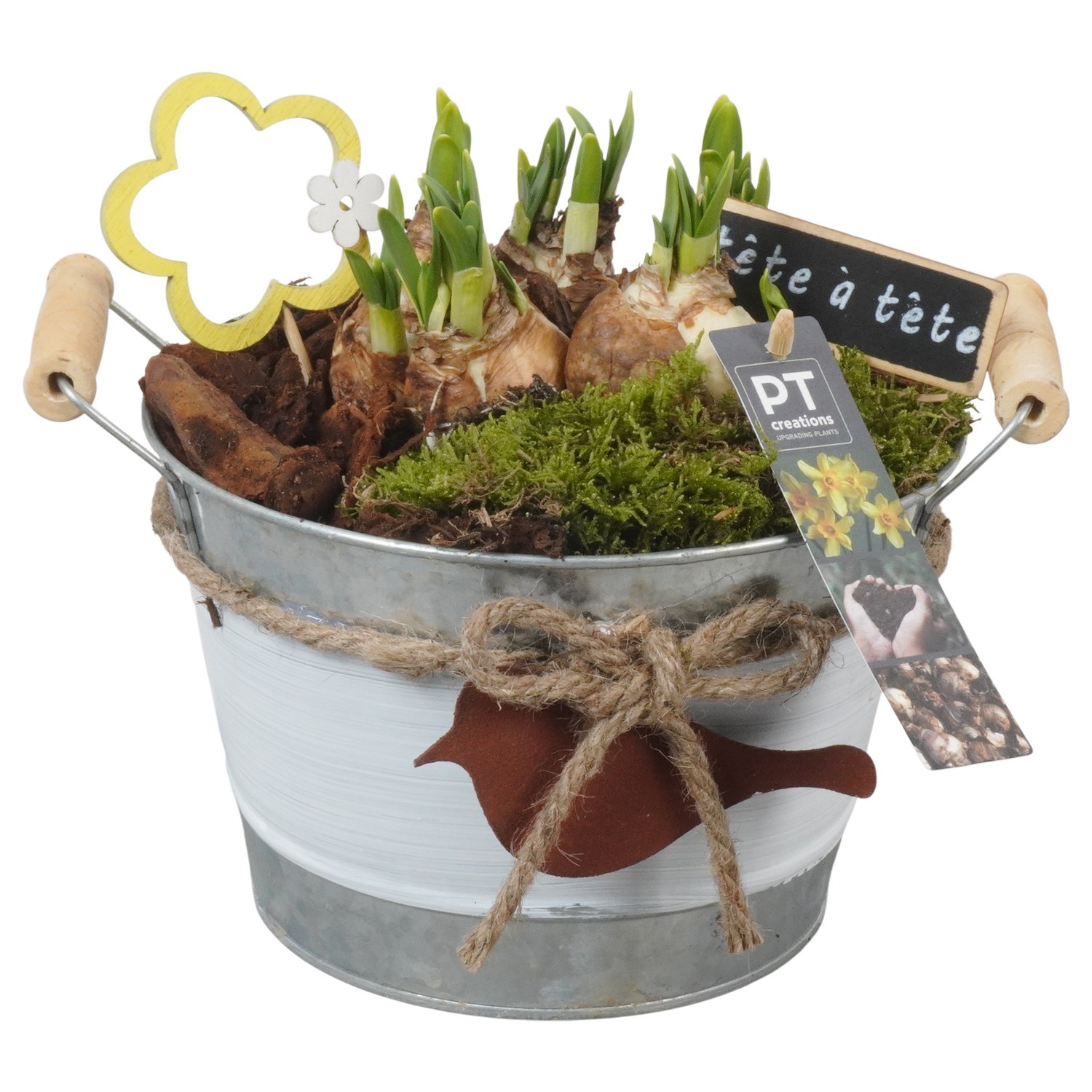 PTN8601 Arrangement Narcissus in zink pot, D 18
