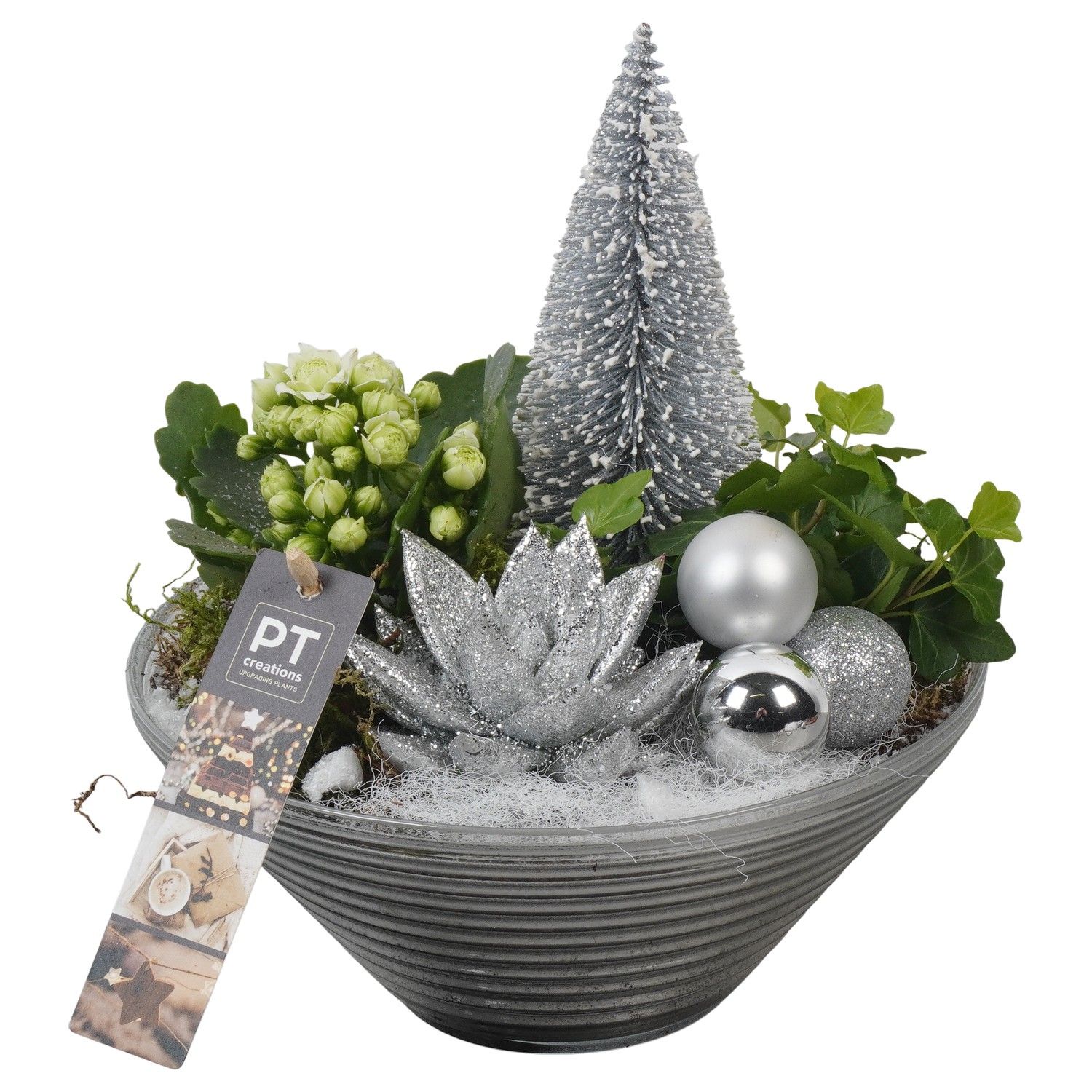 PTCHW4349 Arrangement Christmas White in glas schaal, D 19 cm