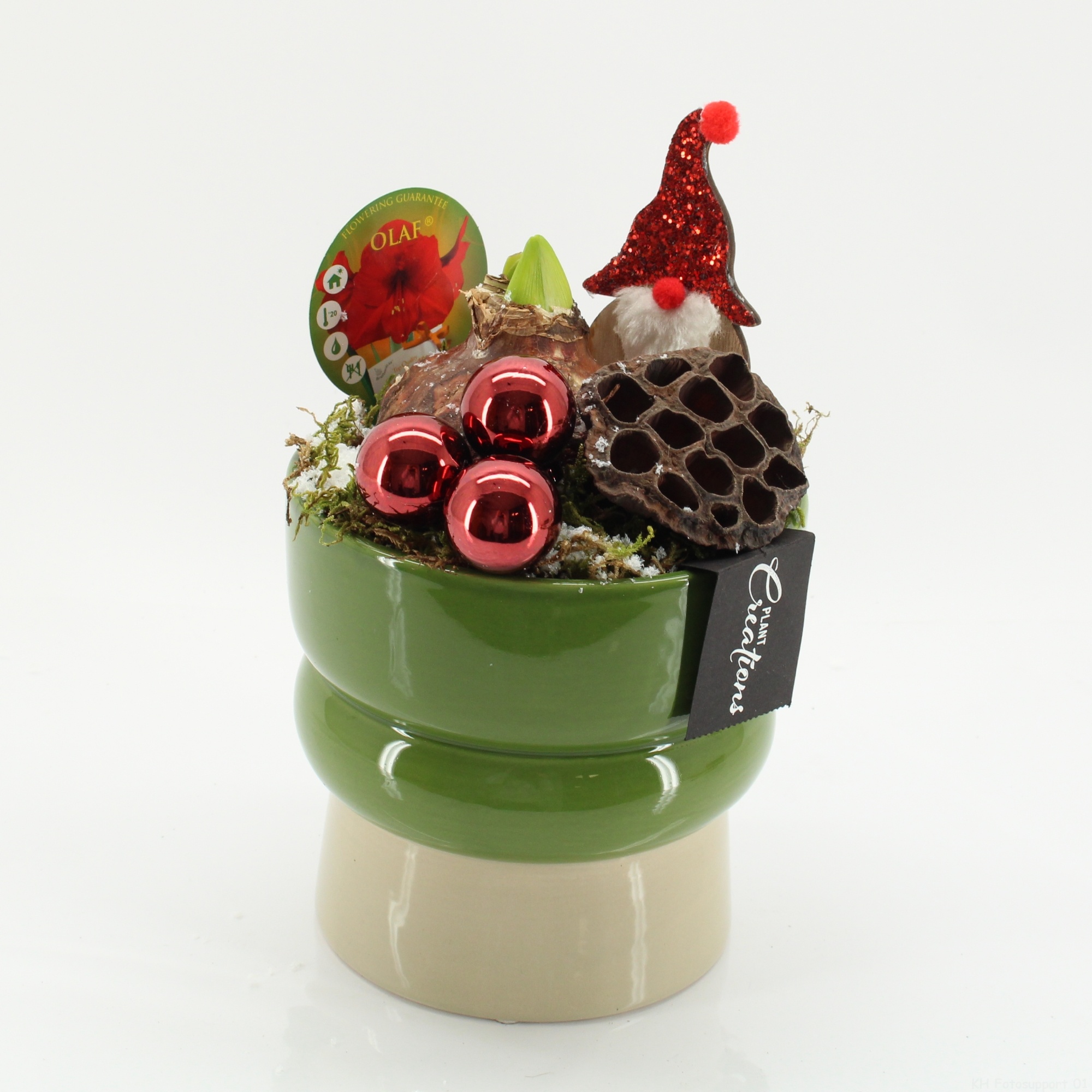HICR-2516R Kerst Amaryllis, D 14 cm