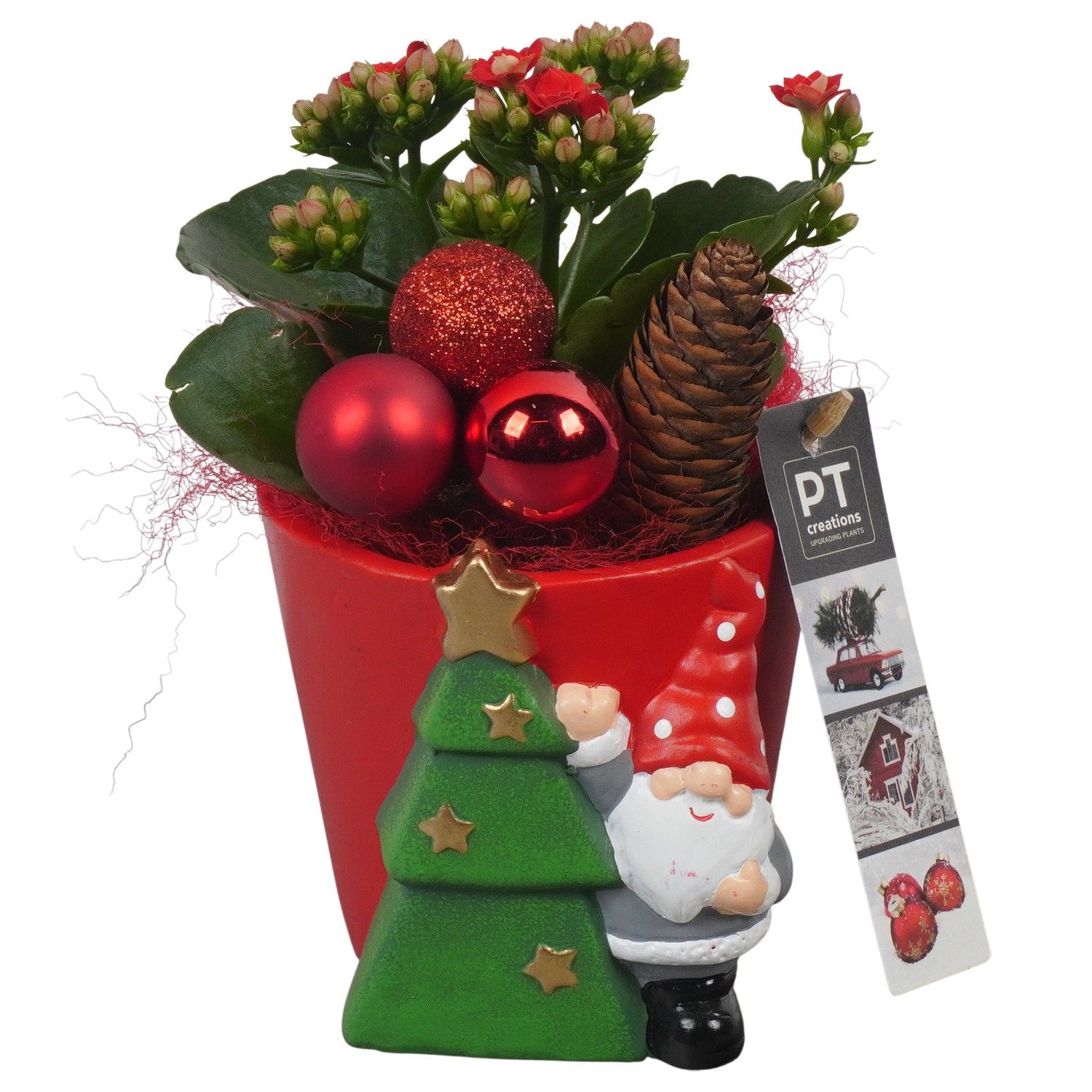PTCHR7271 Arrangement Christmas Red in keramiek pot, D 11 cm