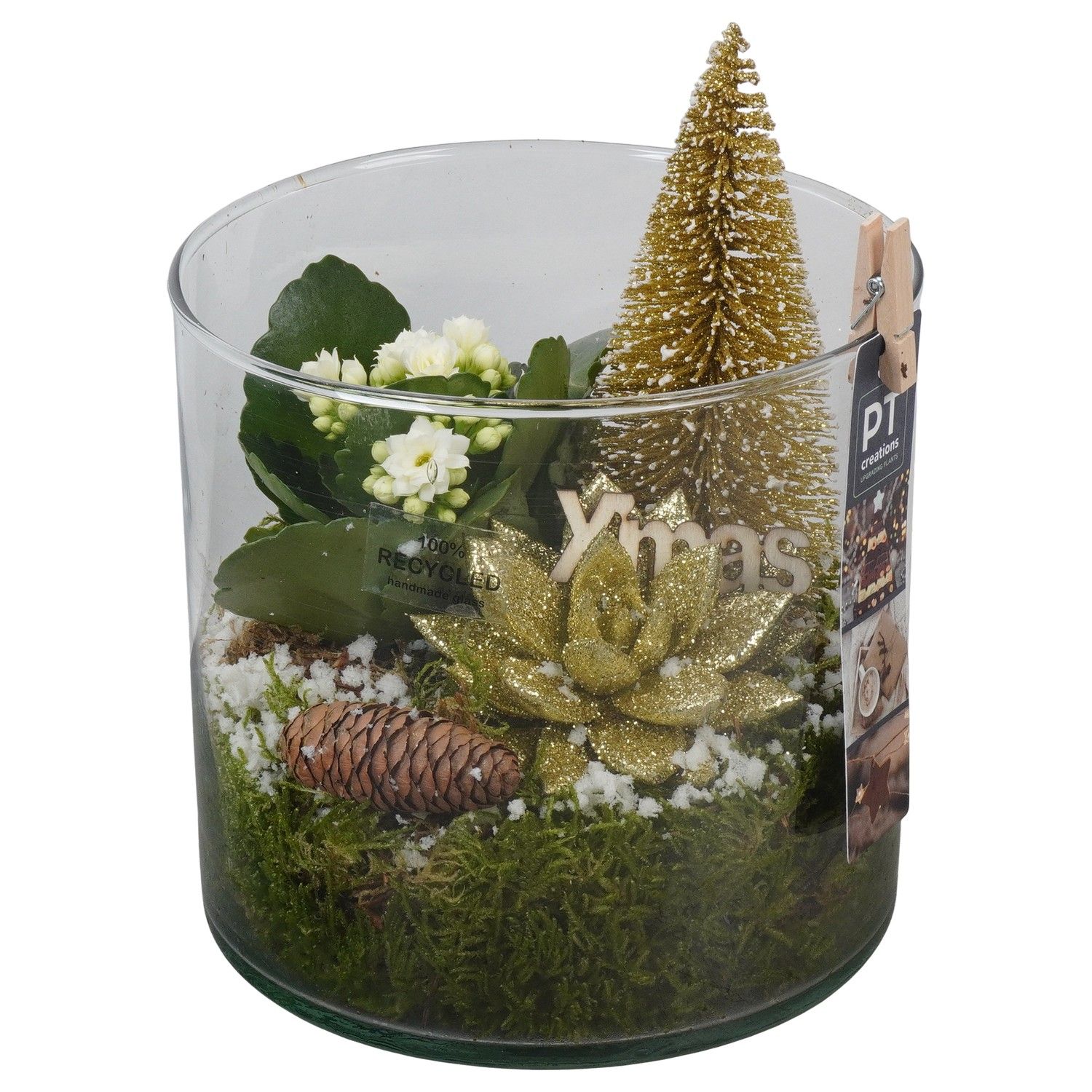 PTCHG5752 Arrangement Christmas Gold in glazen pot, D 15 cm