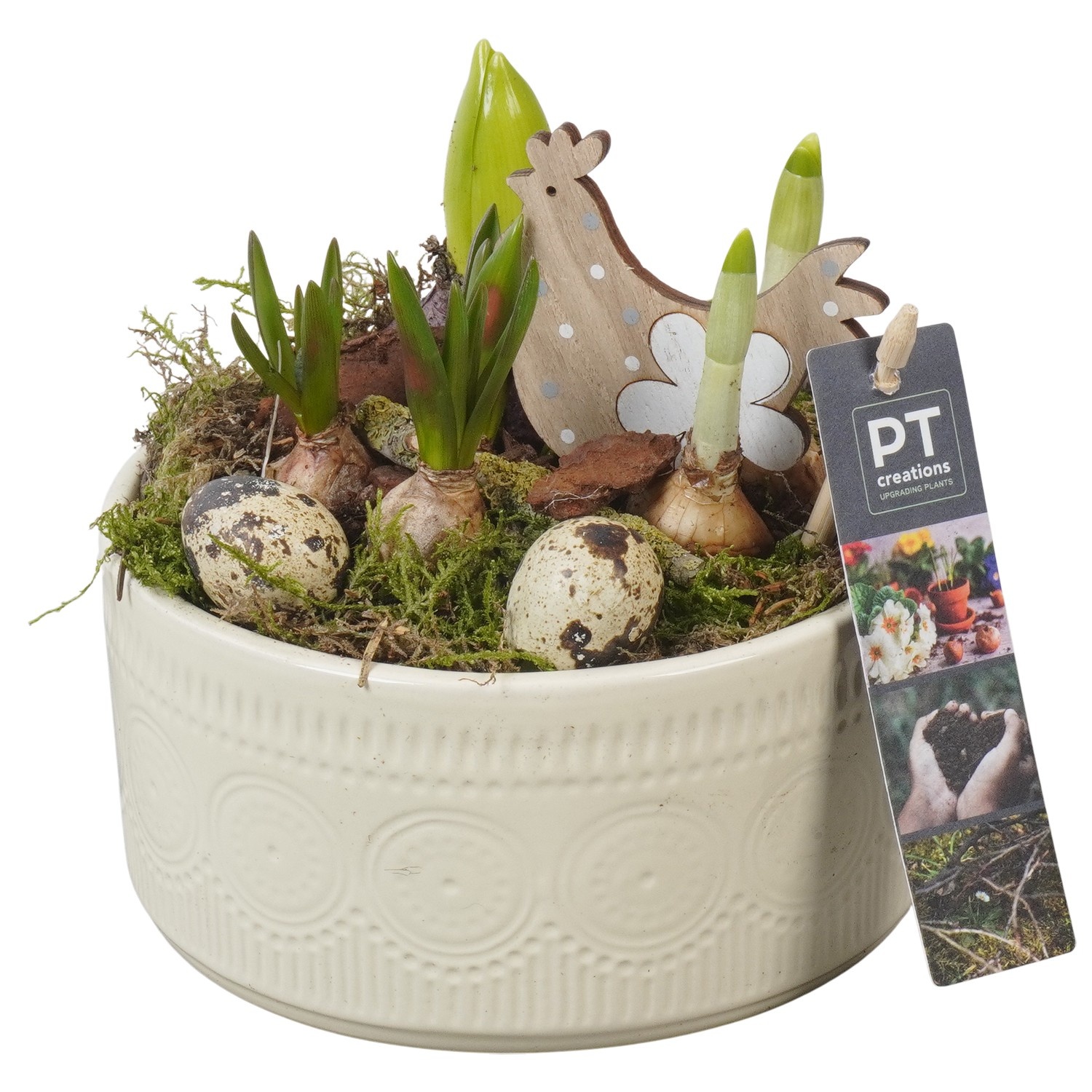 PTBMP5740 Arrangement Easter Bulbs Mix in keramiek schaal, D 15