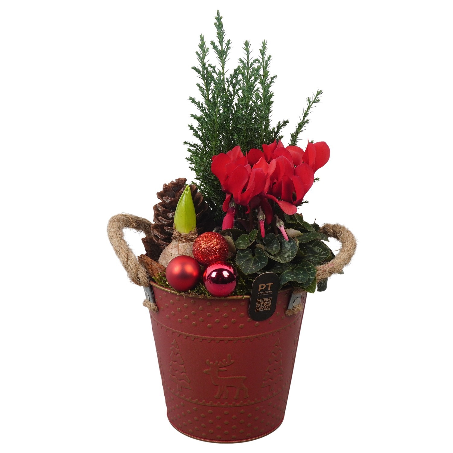 PTCHO5481 Arrangement Christmas Outdoor in metalen pot, D 16