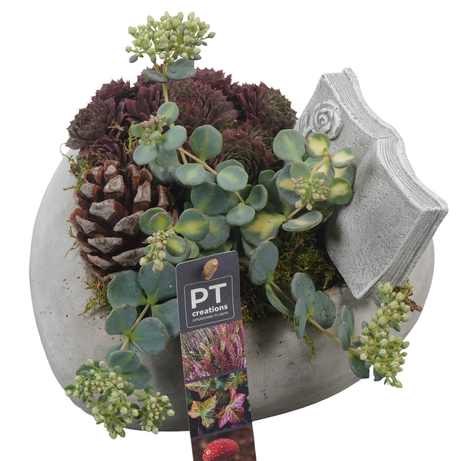 PTAH8606 Arrangement Allerheiligen in beton hart, D 20 cm PTAH8606 Arrangement Allerheiligen in beton hart, D 20 cm