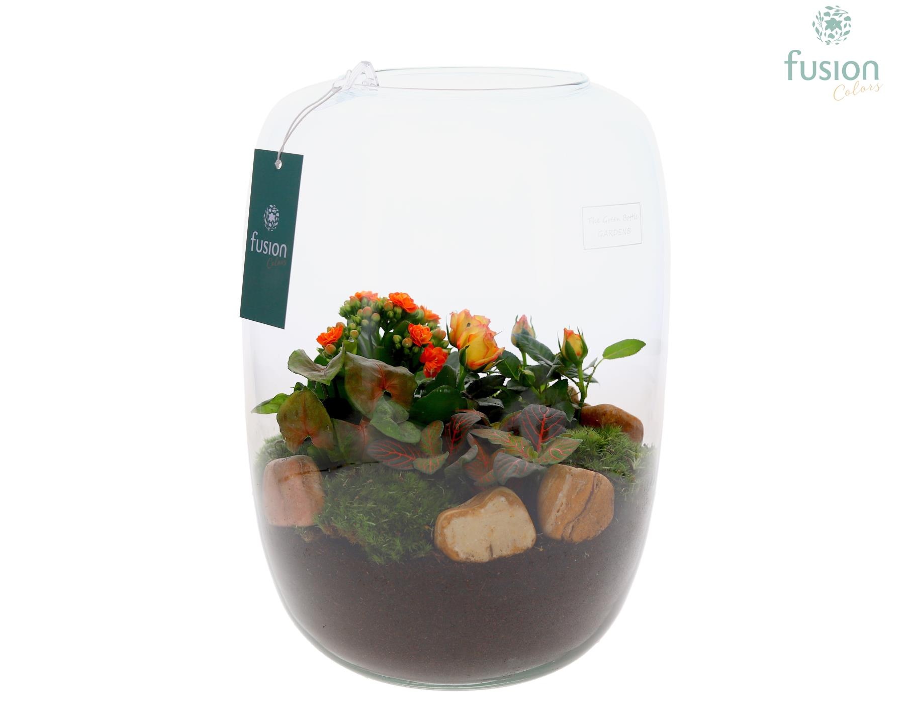 Green Bottle Isabella XLarge met arrangement, D 23