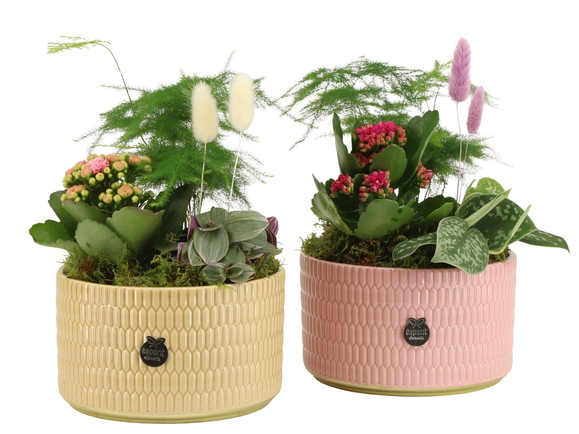 21978: Contradiction arrangement, D 17