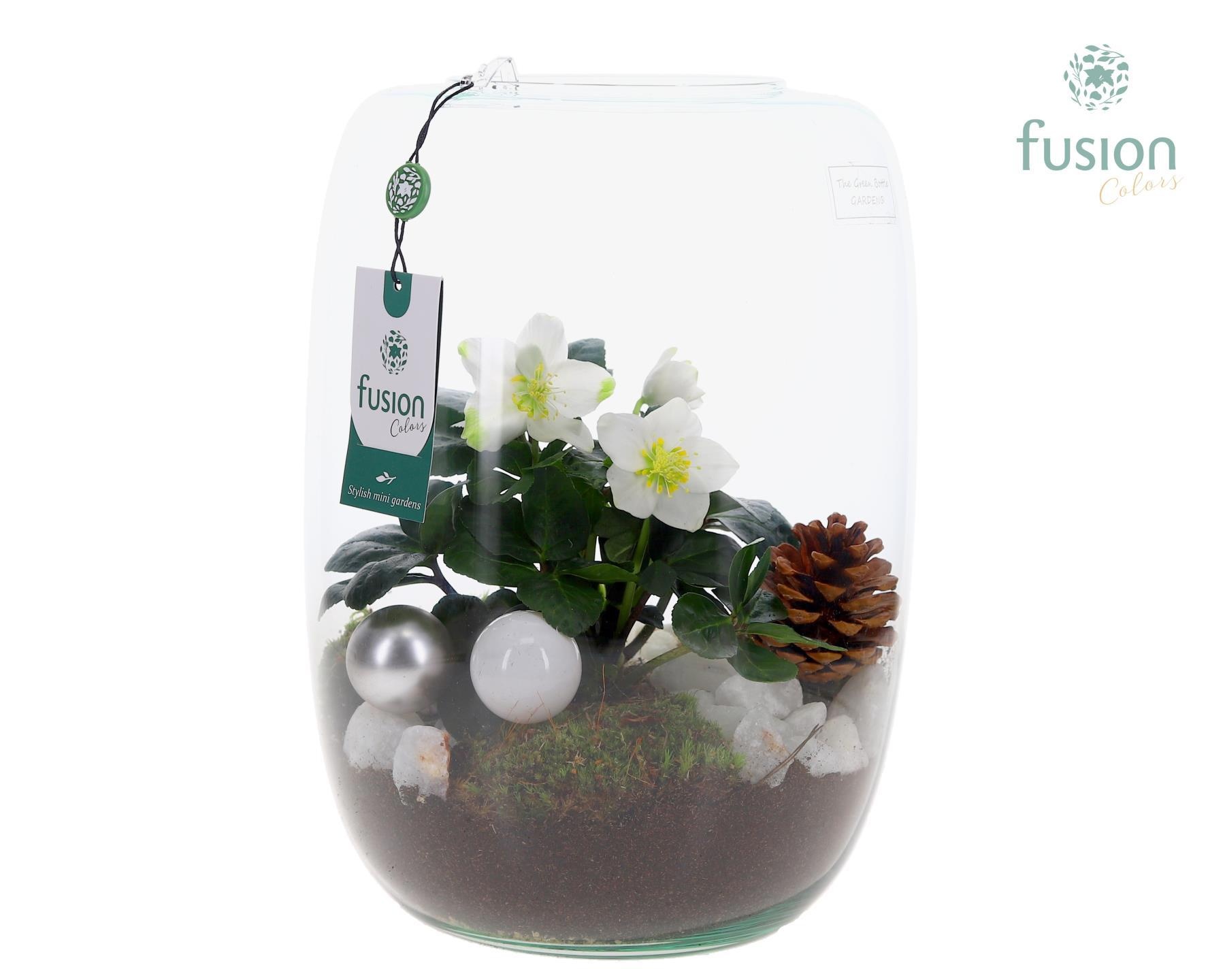 Green BottleIsabella XLarge met Helleborus, D 23 cm Green BottleIsabella XLarge met Helleborus, D 23 cm