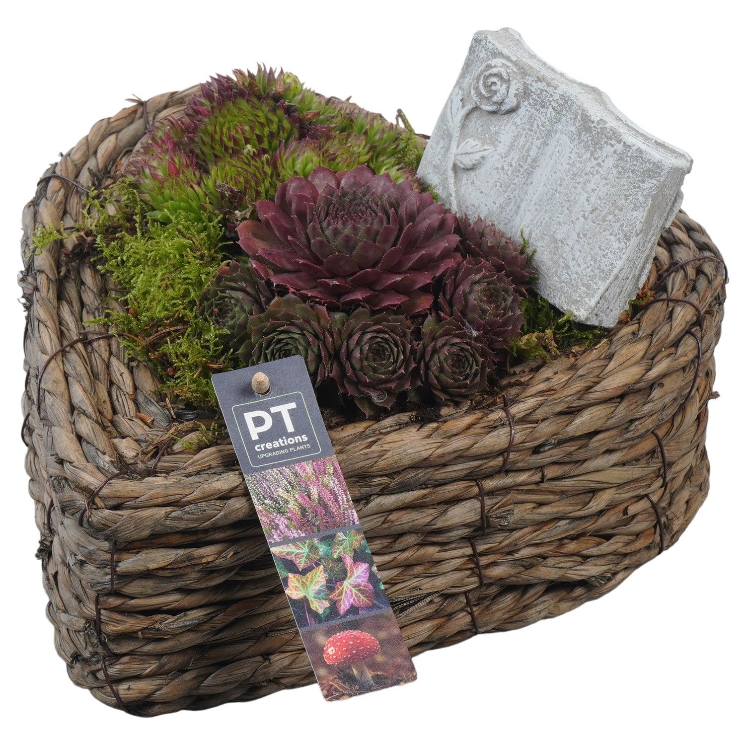 PTAH8673 Arrangement Allerheiligen in rieten hart, D 26 cm PTAH8673 Arrangement Allerheiligen in rieten hart, D 26 cm