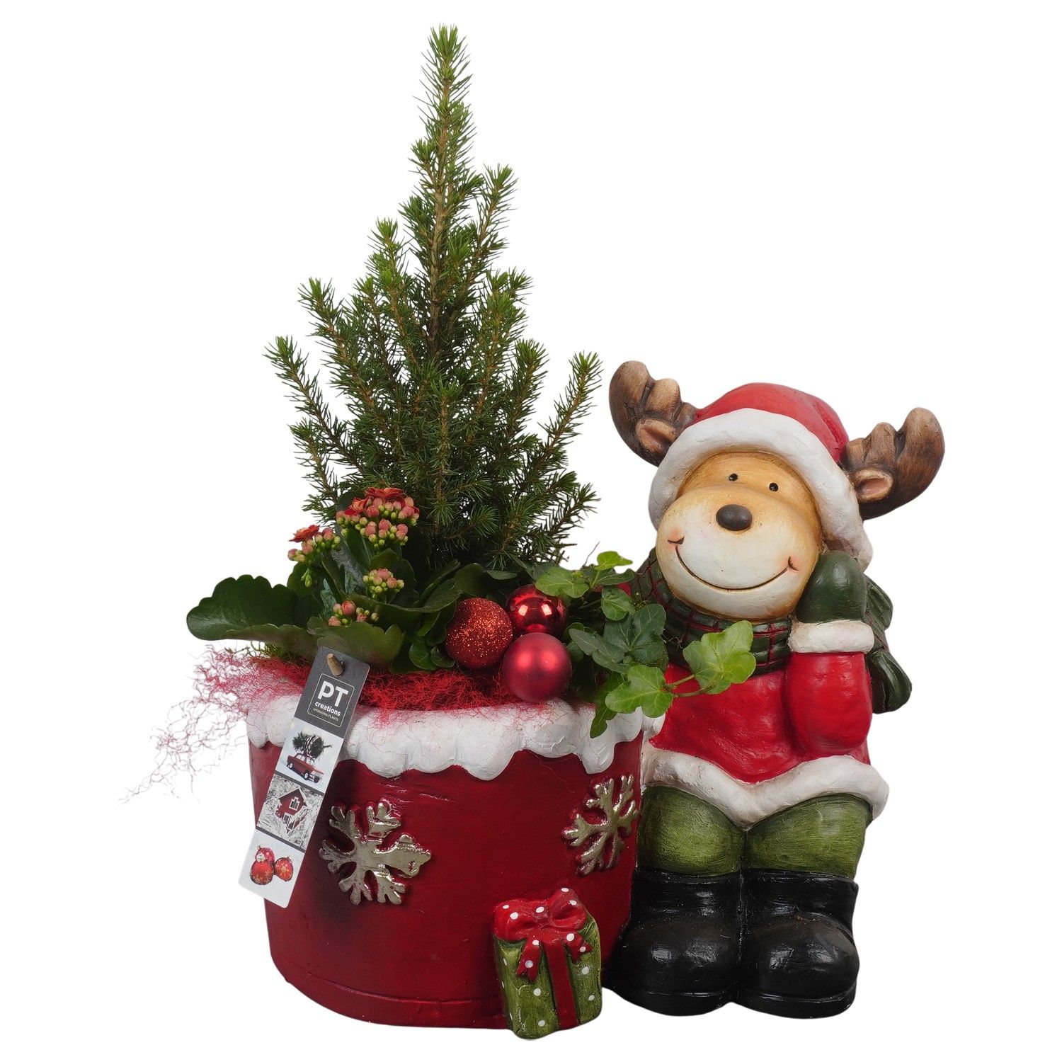 PTCHR7297 Arrangement Christmas Red in keramiek pot, D 33 cm