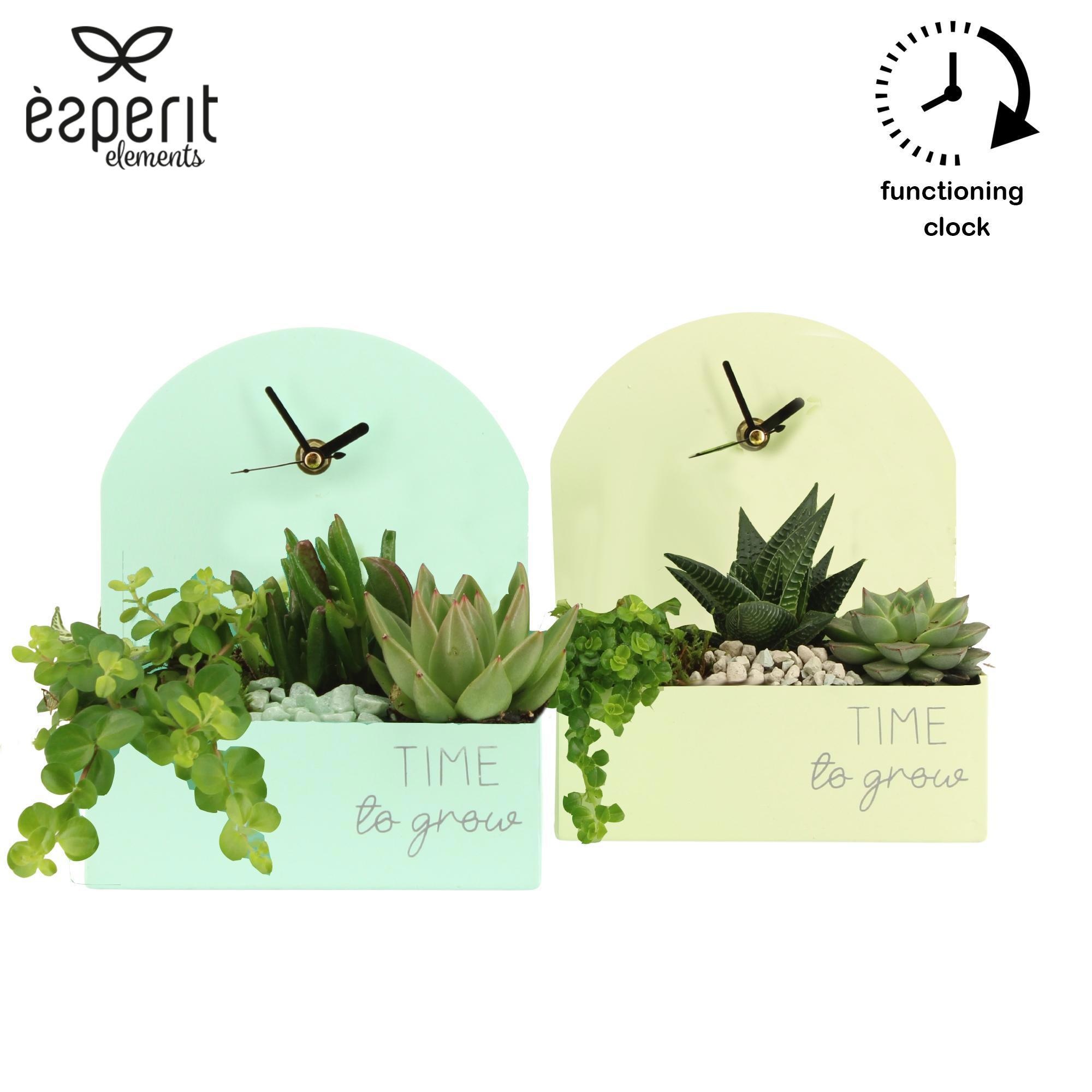 11582: Consideration arrangement, D 17