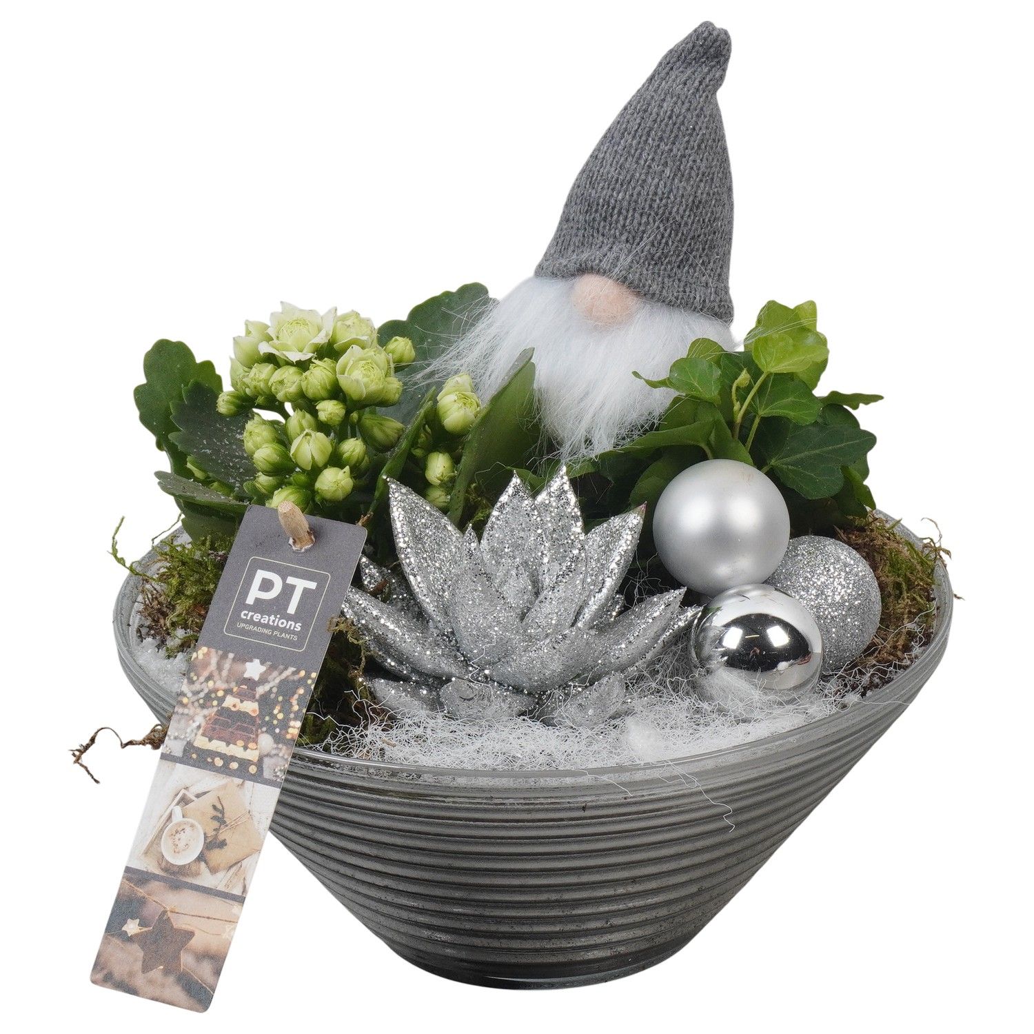 PTCHW4347 Arrangement Christmas White in glas schaal, D 19 cm