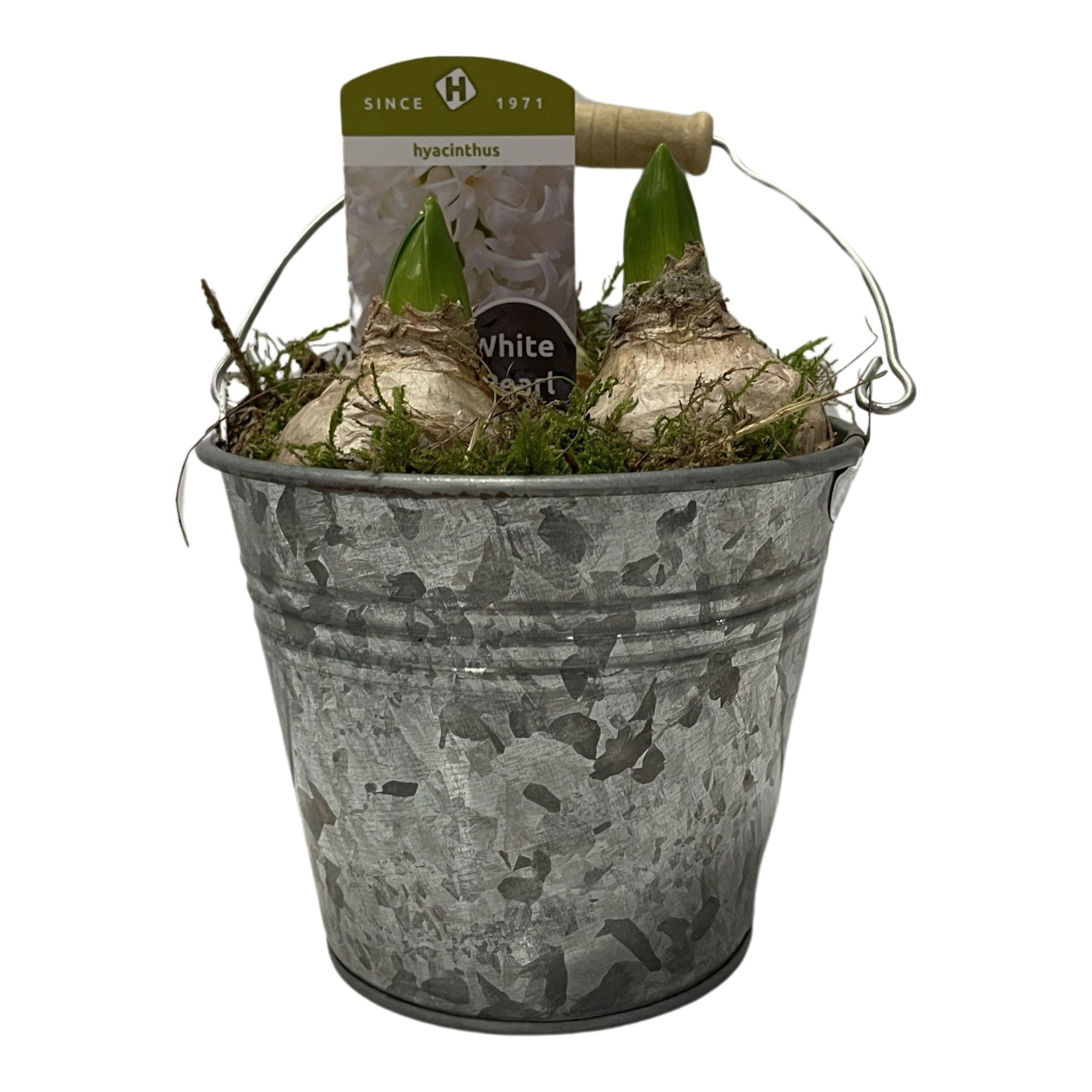 Zink emmer 13 cm hyacint, D 13